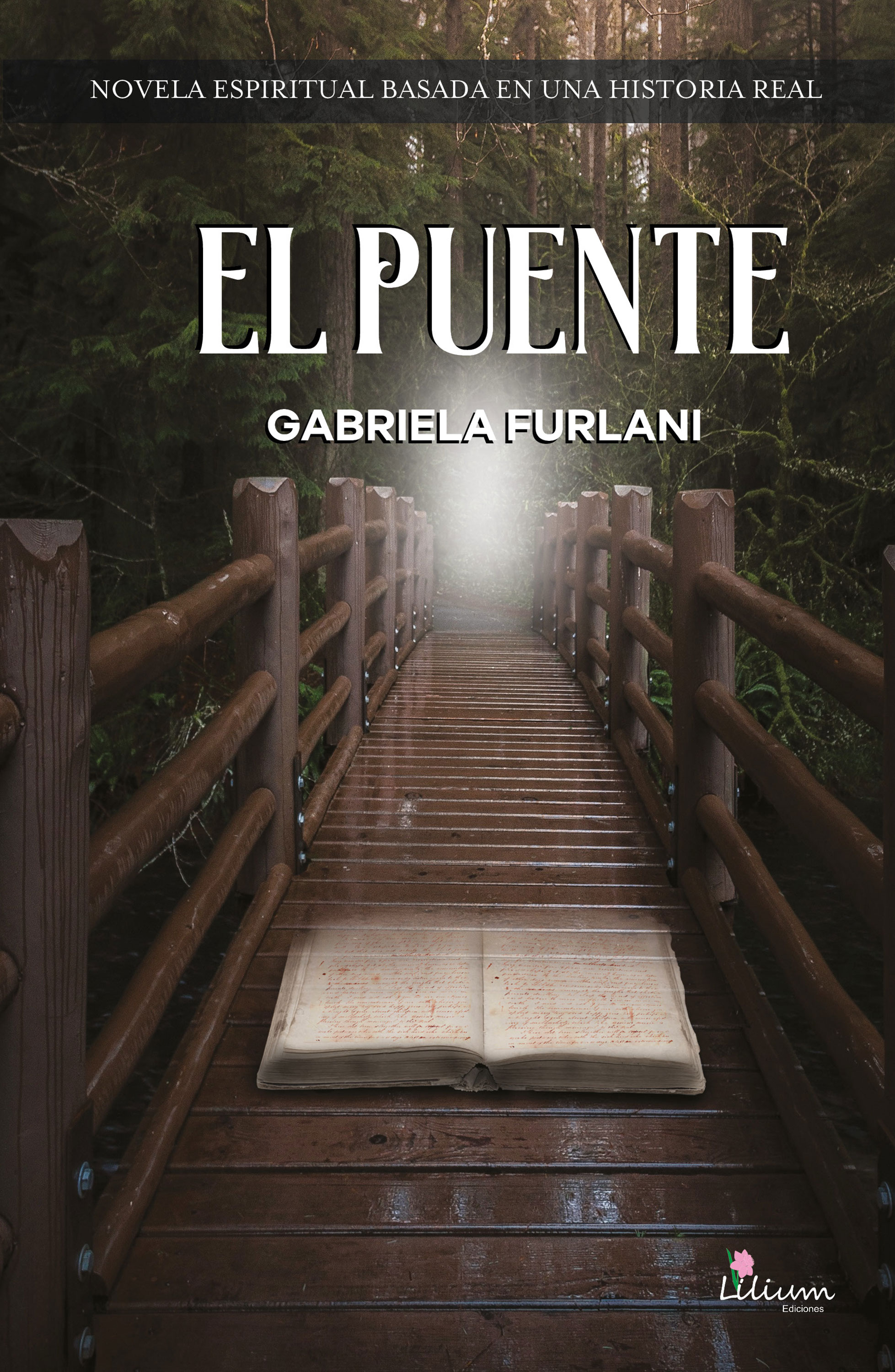 Обложка книги «El puente»