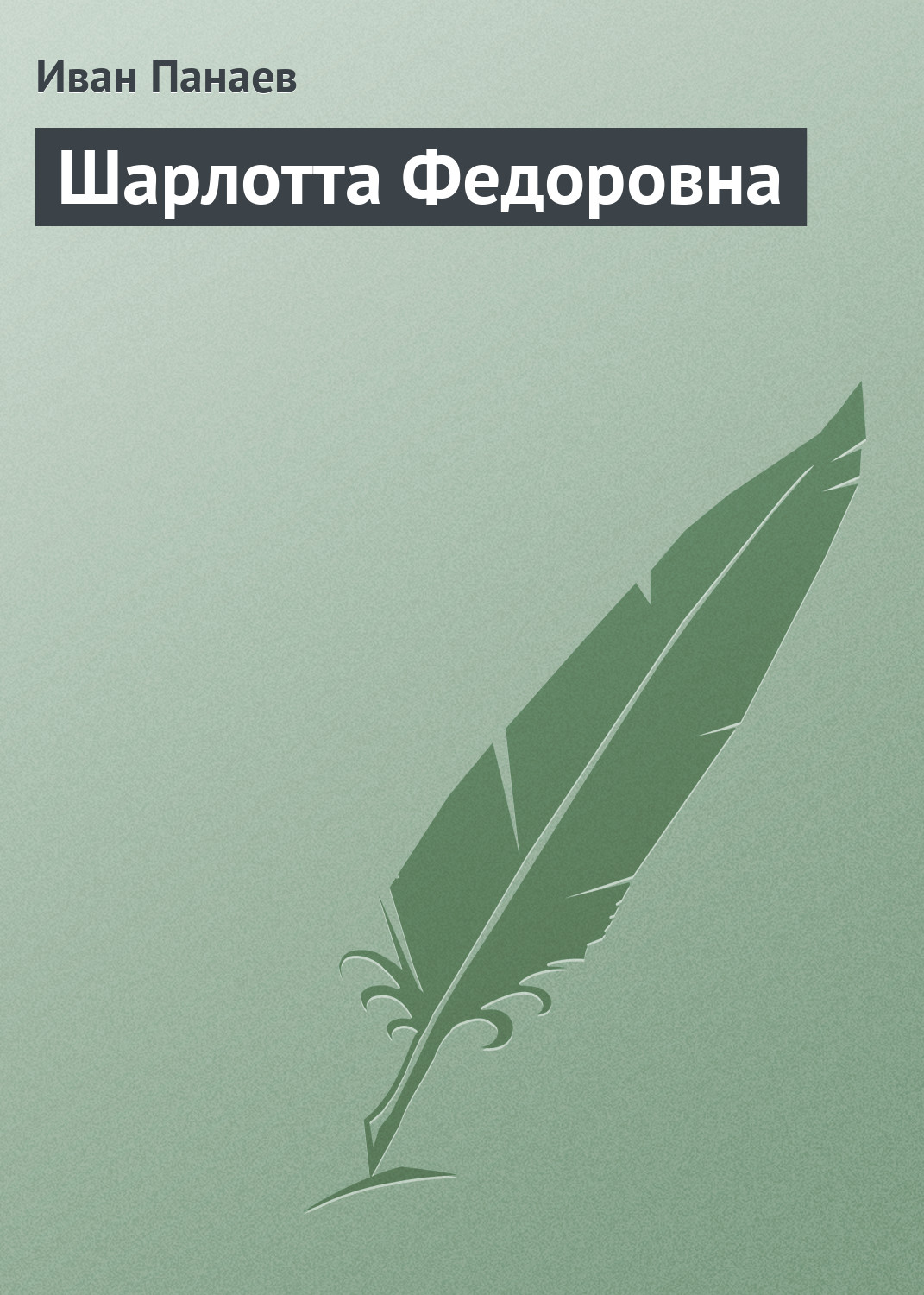 Обложка книги «Шарлотта Федоровна»