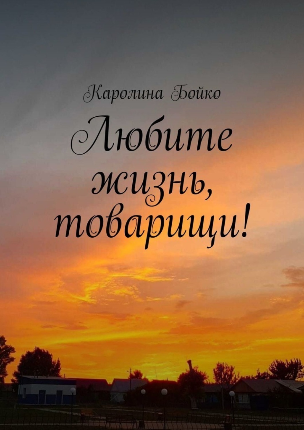 Обложка книги «Любите жизнь, товарищи!»