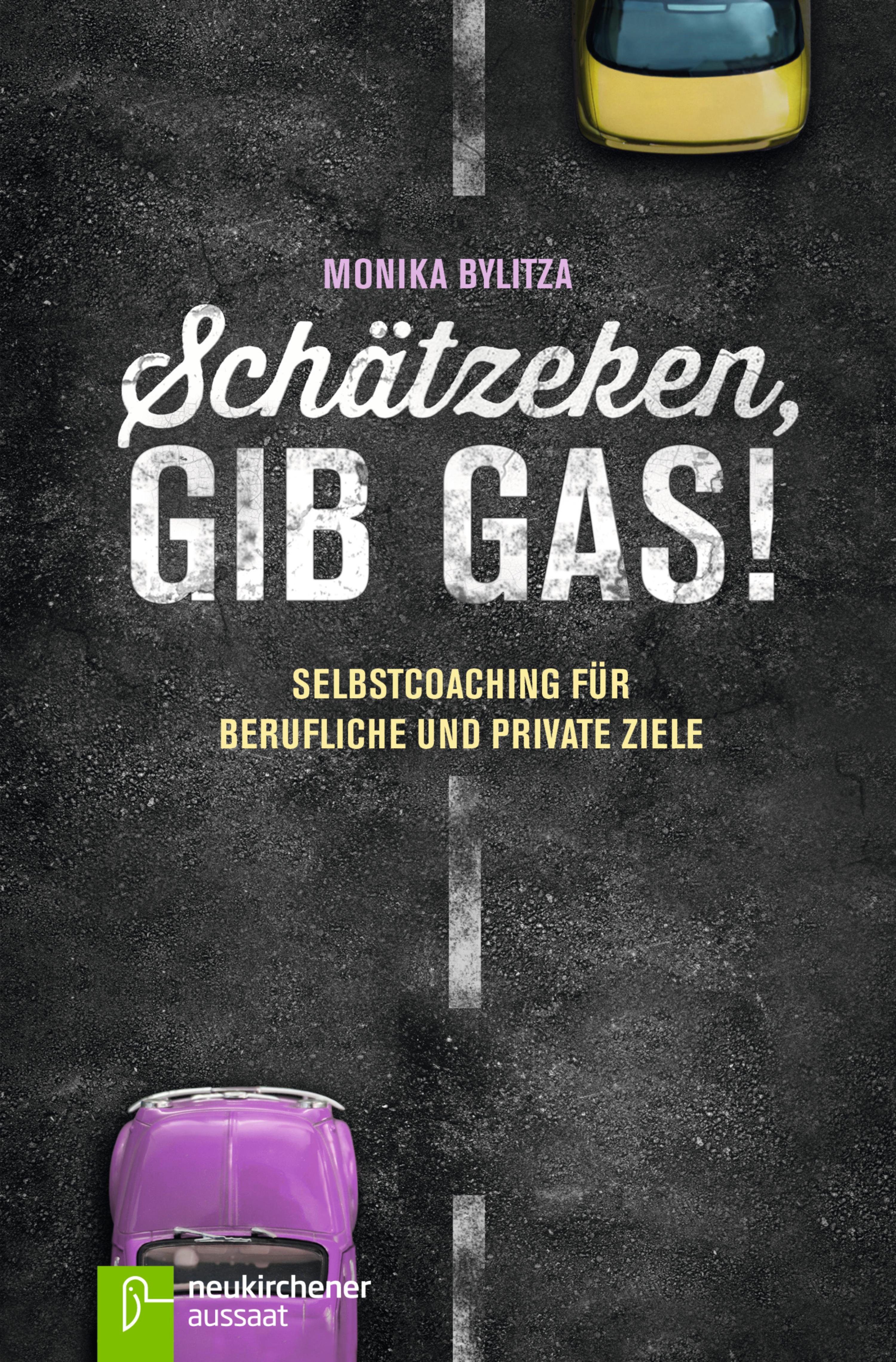Обложка книги «Schätzeken, gib Gas!»
