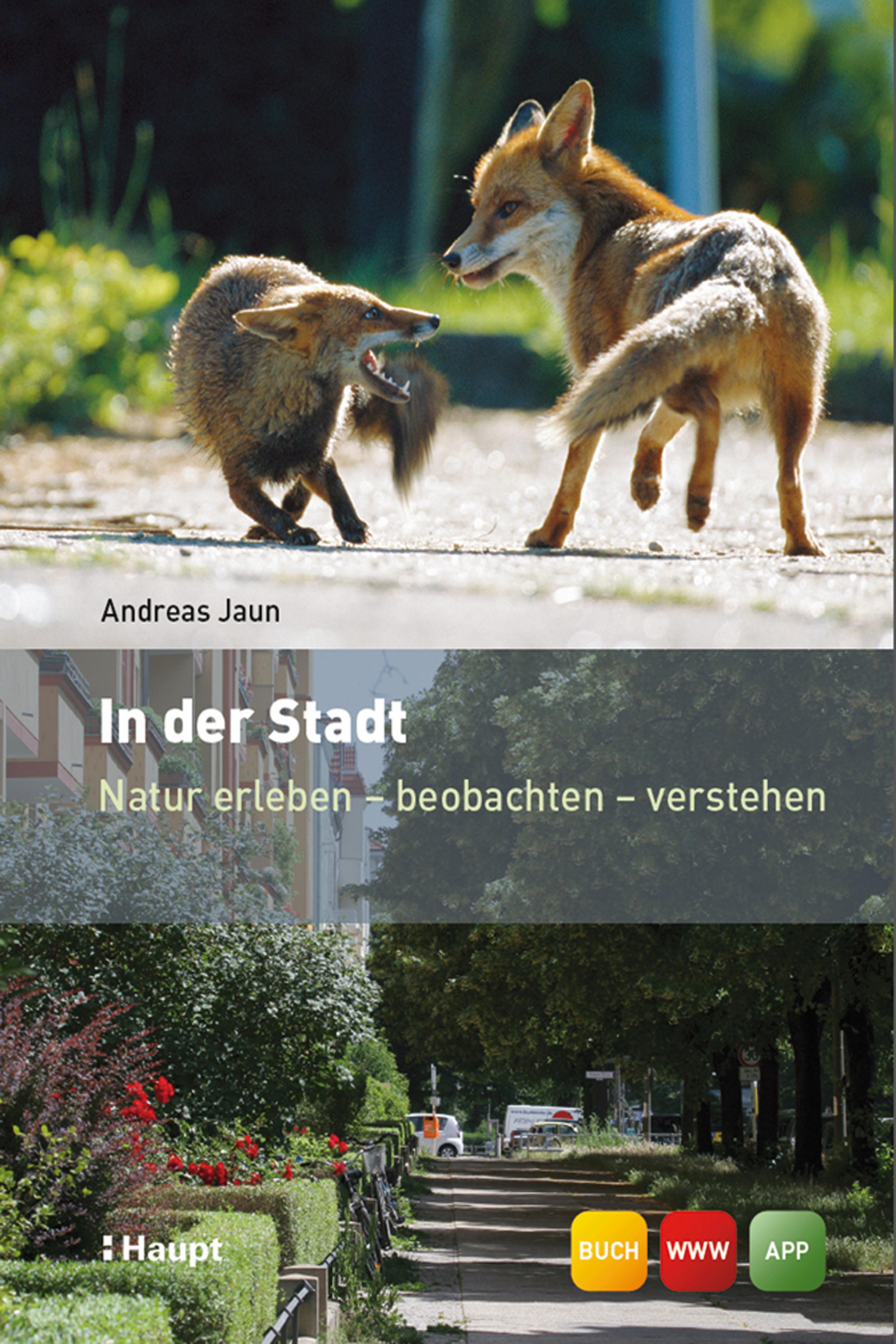 Обложка книги «In der Stadt»