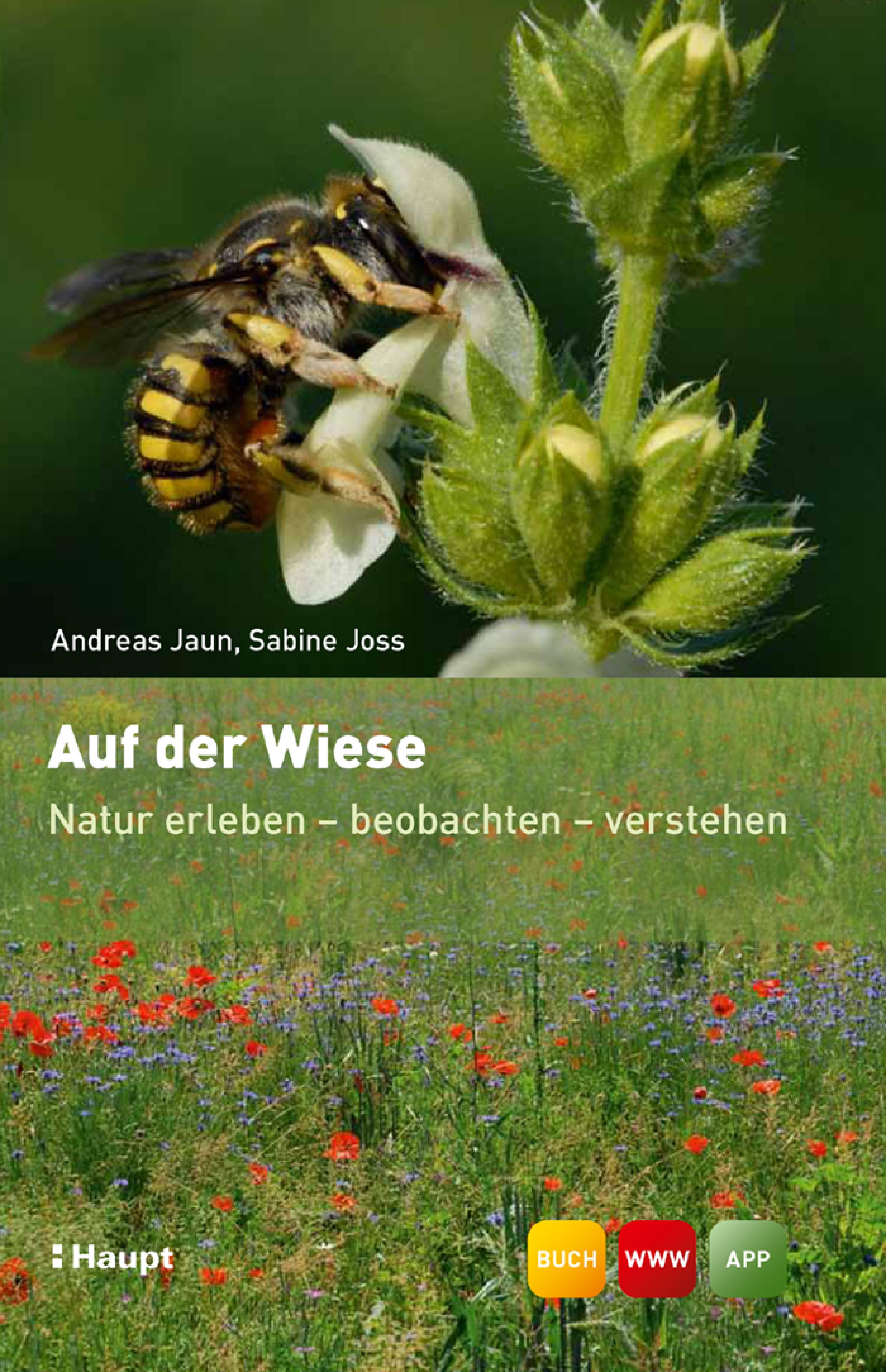 Обложка книги «Auf der Wiese»