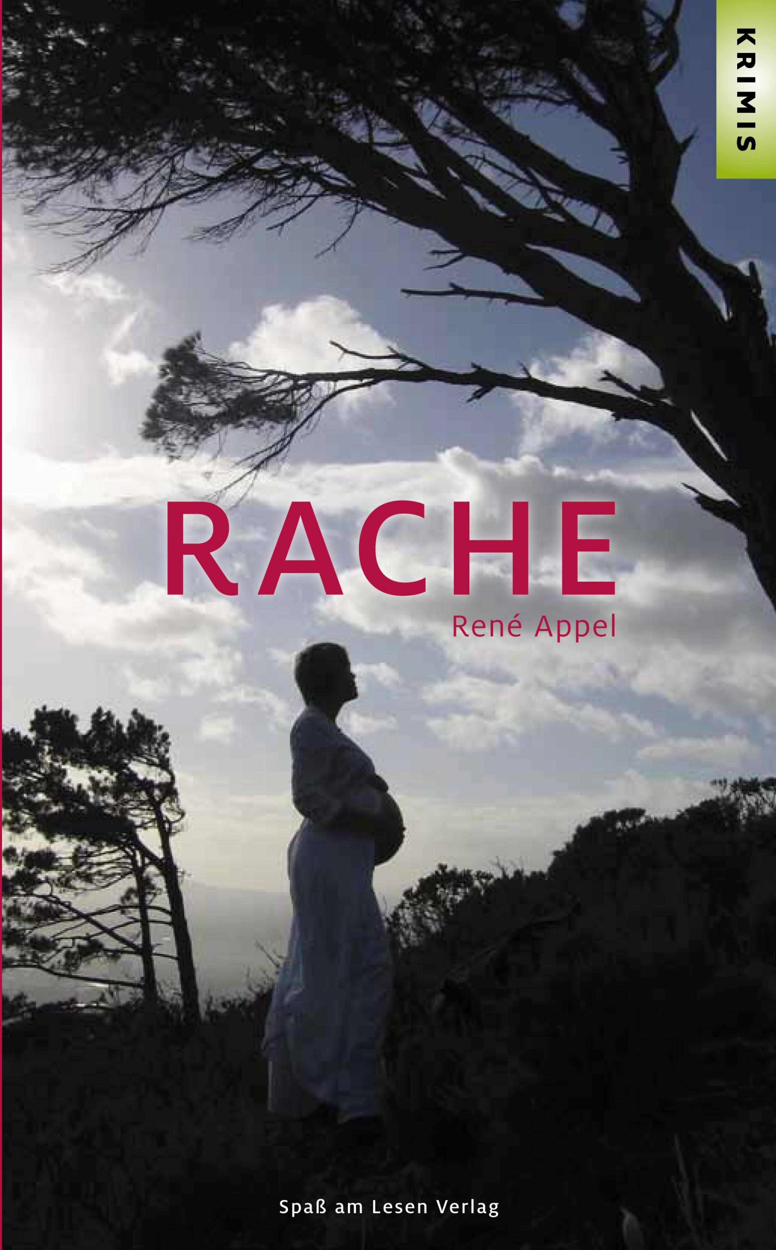 Обложка книги «Rache»