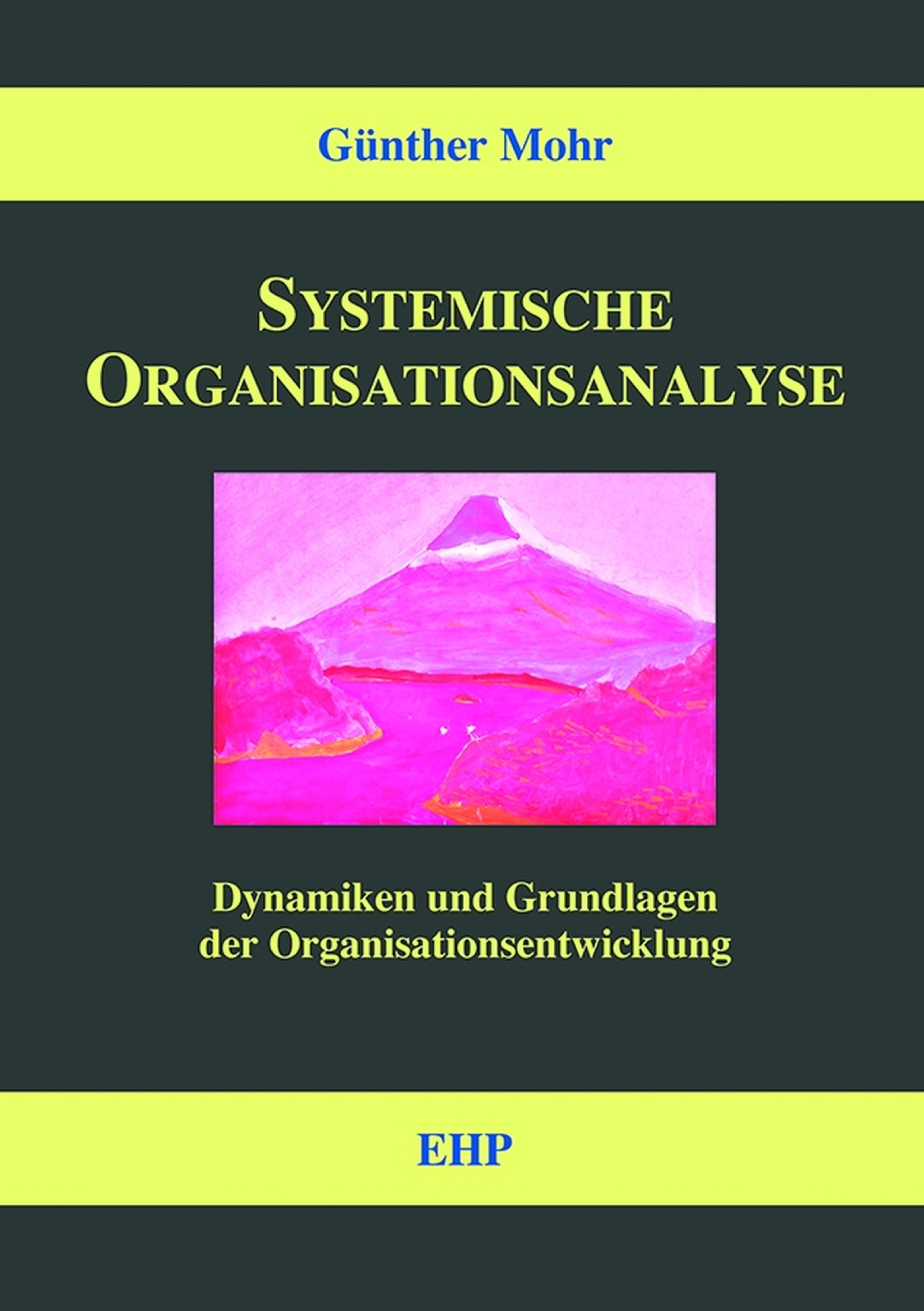 Обложка книги «Systemische Organisationsanalyse»