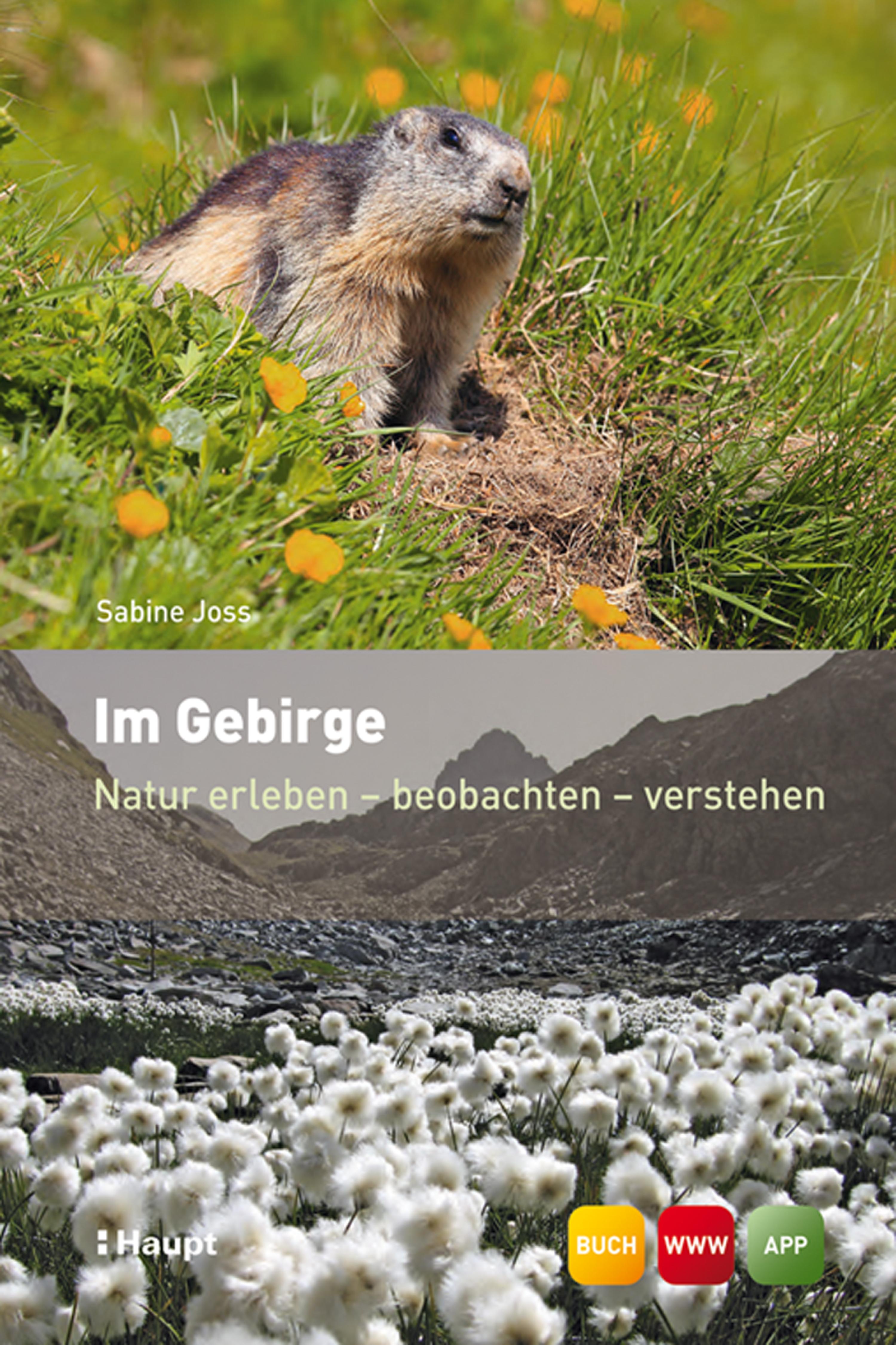 Обложка книги «Im Gebirge»