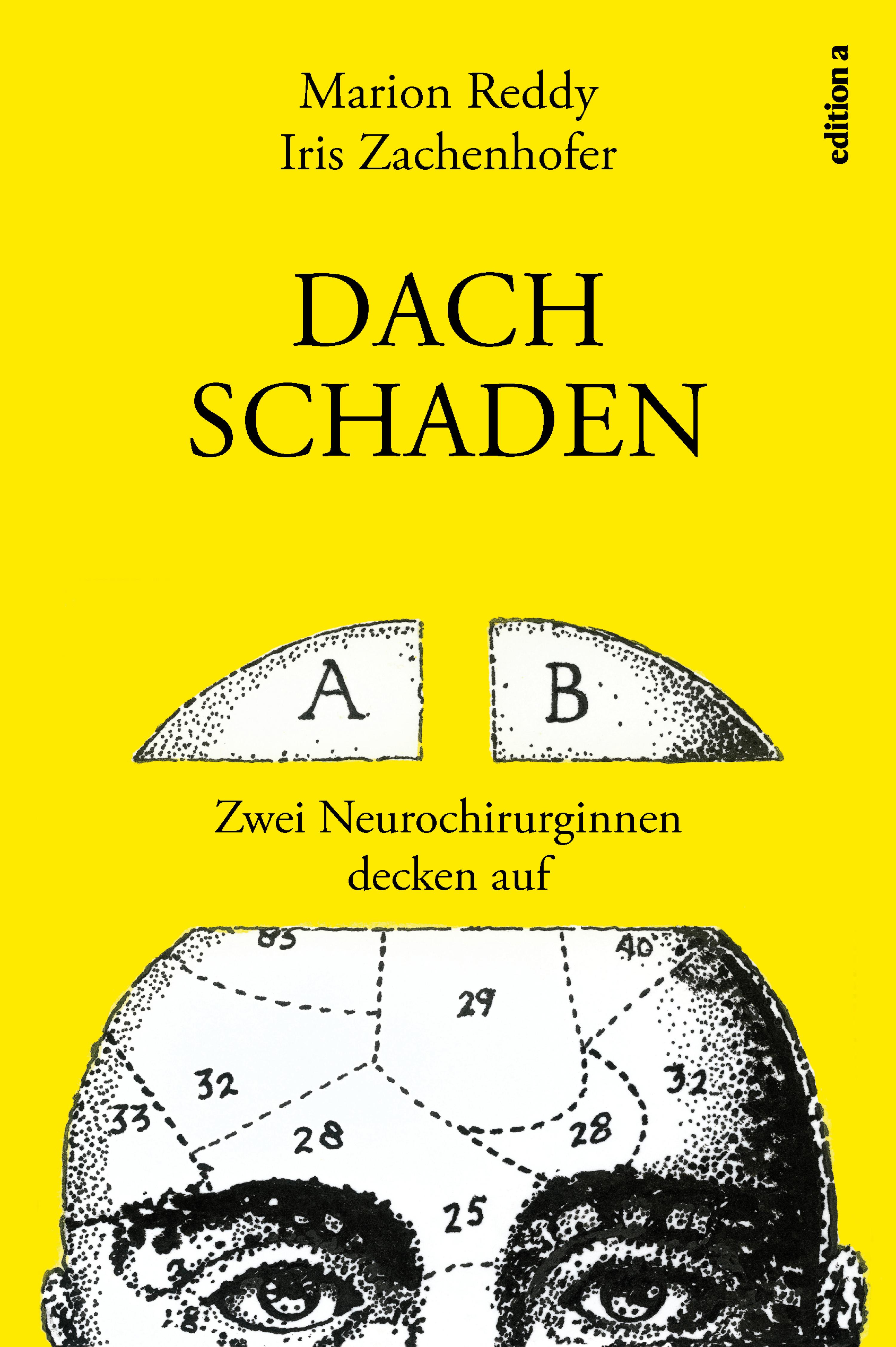 Обложка книги «Dachschaden»
