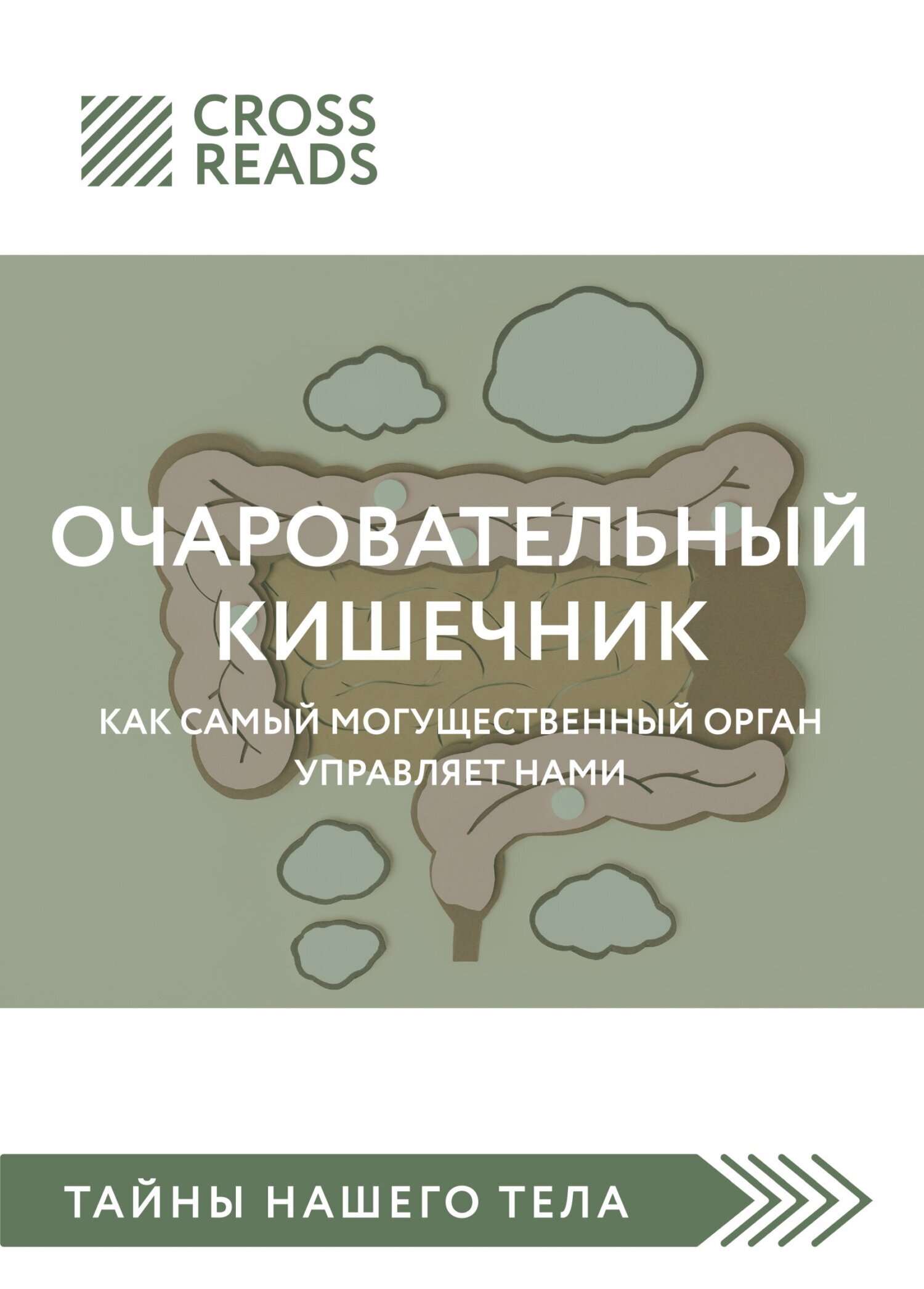 Обложка книги «Саммари книги «Очаровательный кишечник. Как самый могущественный орган управляет нами»»