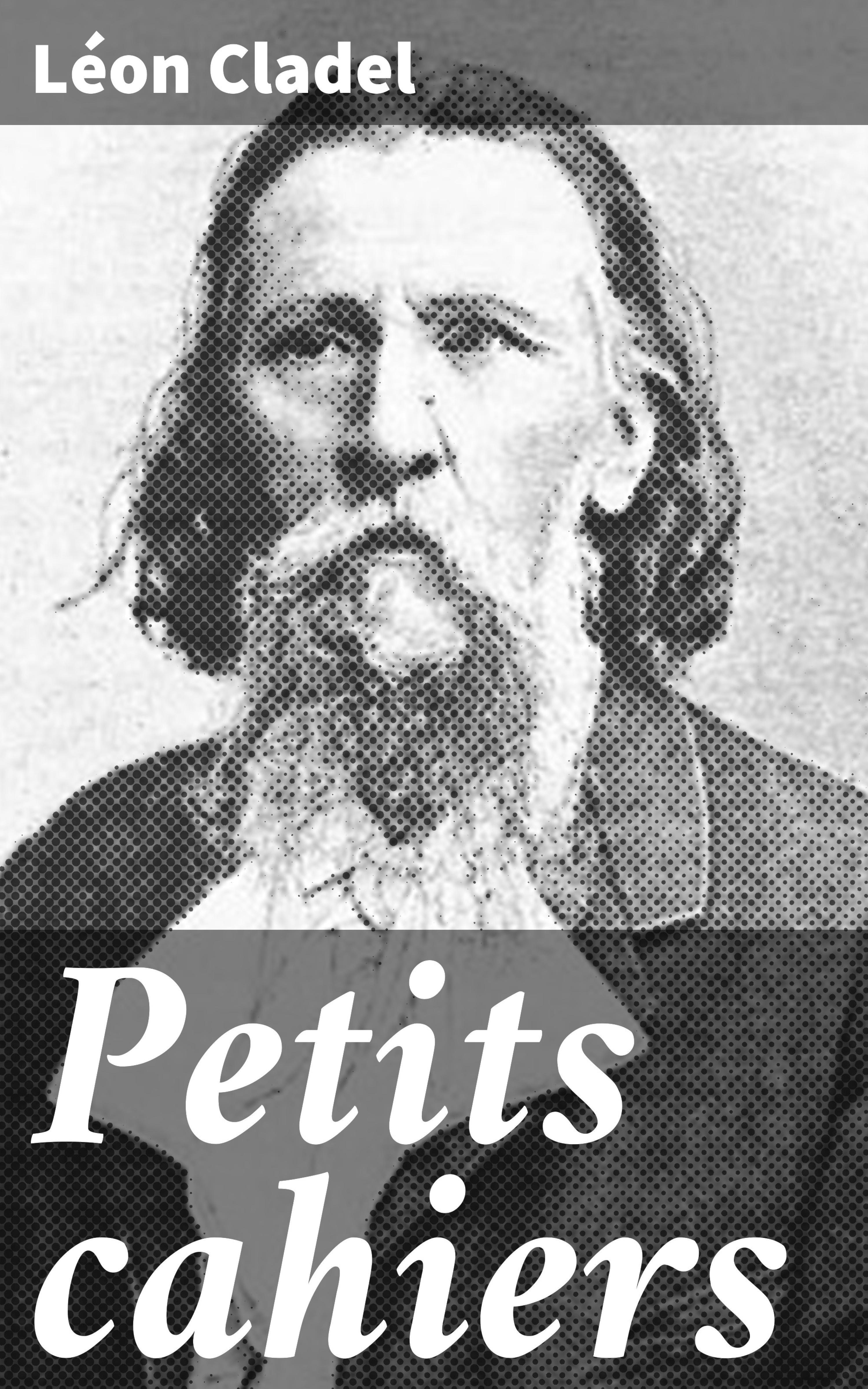Обложка книги «Petits cahiers»