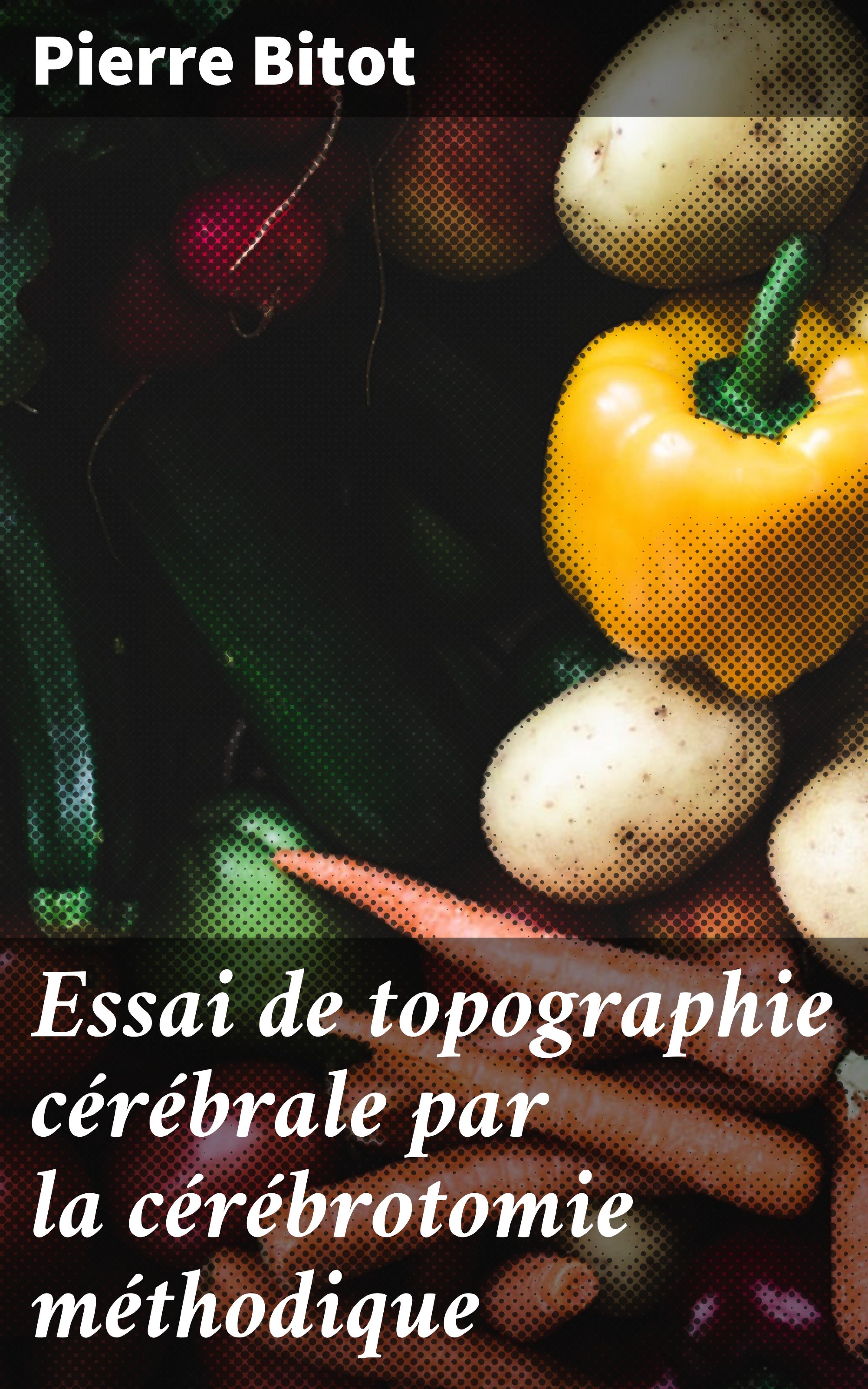 Обложка книги «Essai de topographie cérébrale par la cérébrotomie méthodique»