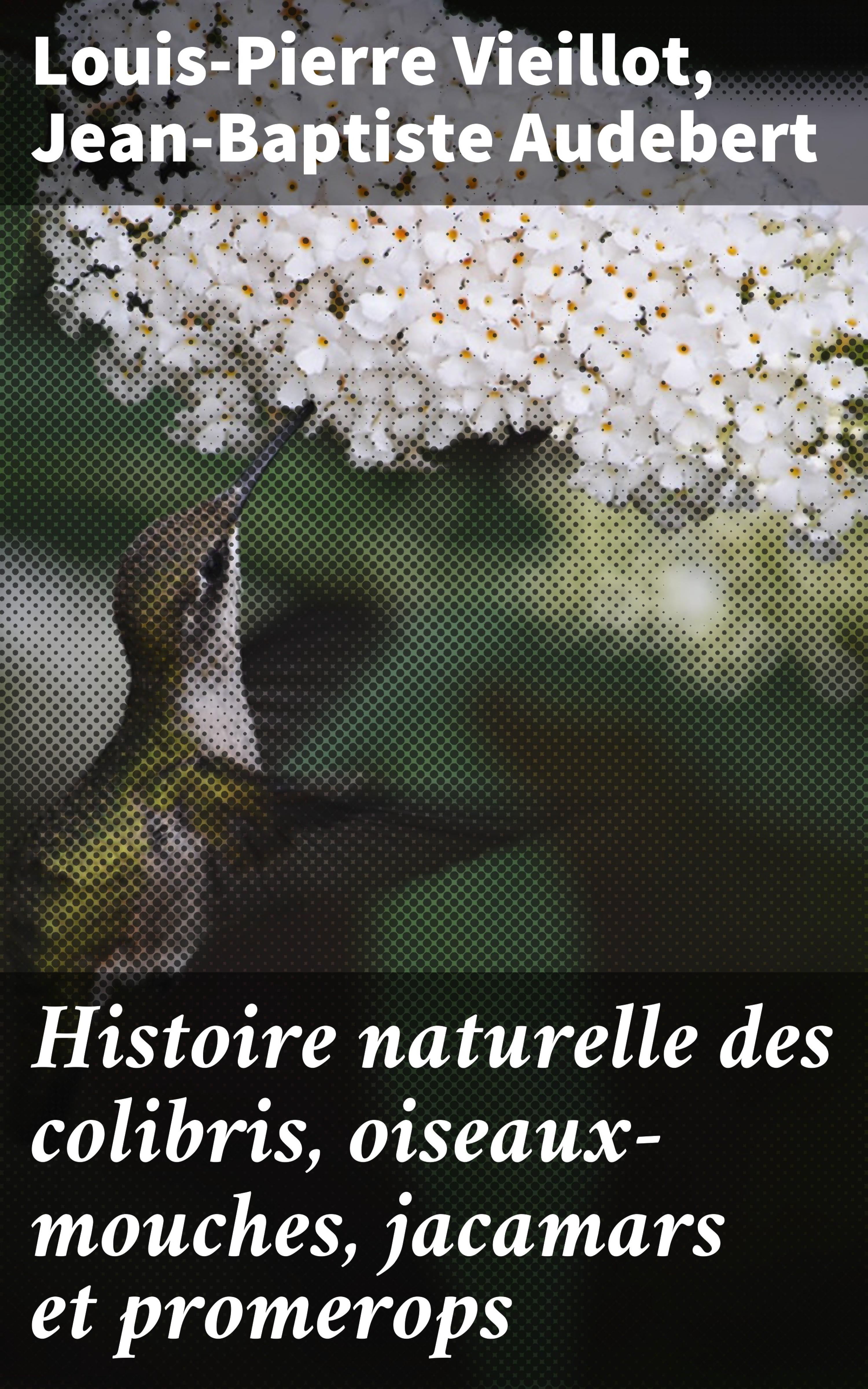 Обложка книги «Histoire naturelle des colibris, oiseaux-mouches, jacamars et promerops»