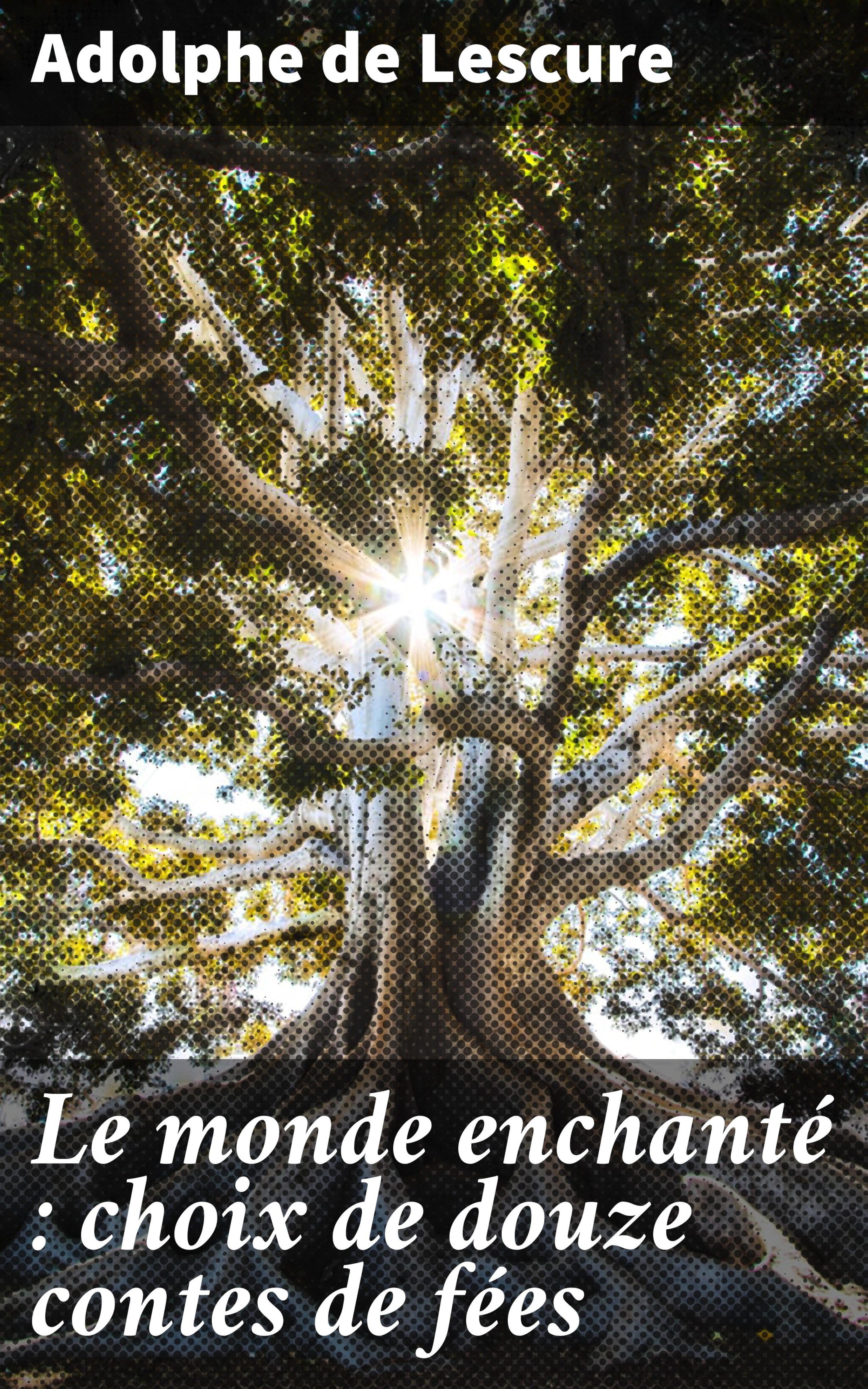 Обложка книги «Le monde enchanté : choix de douze contes de fées»