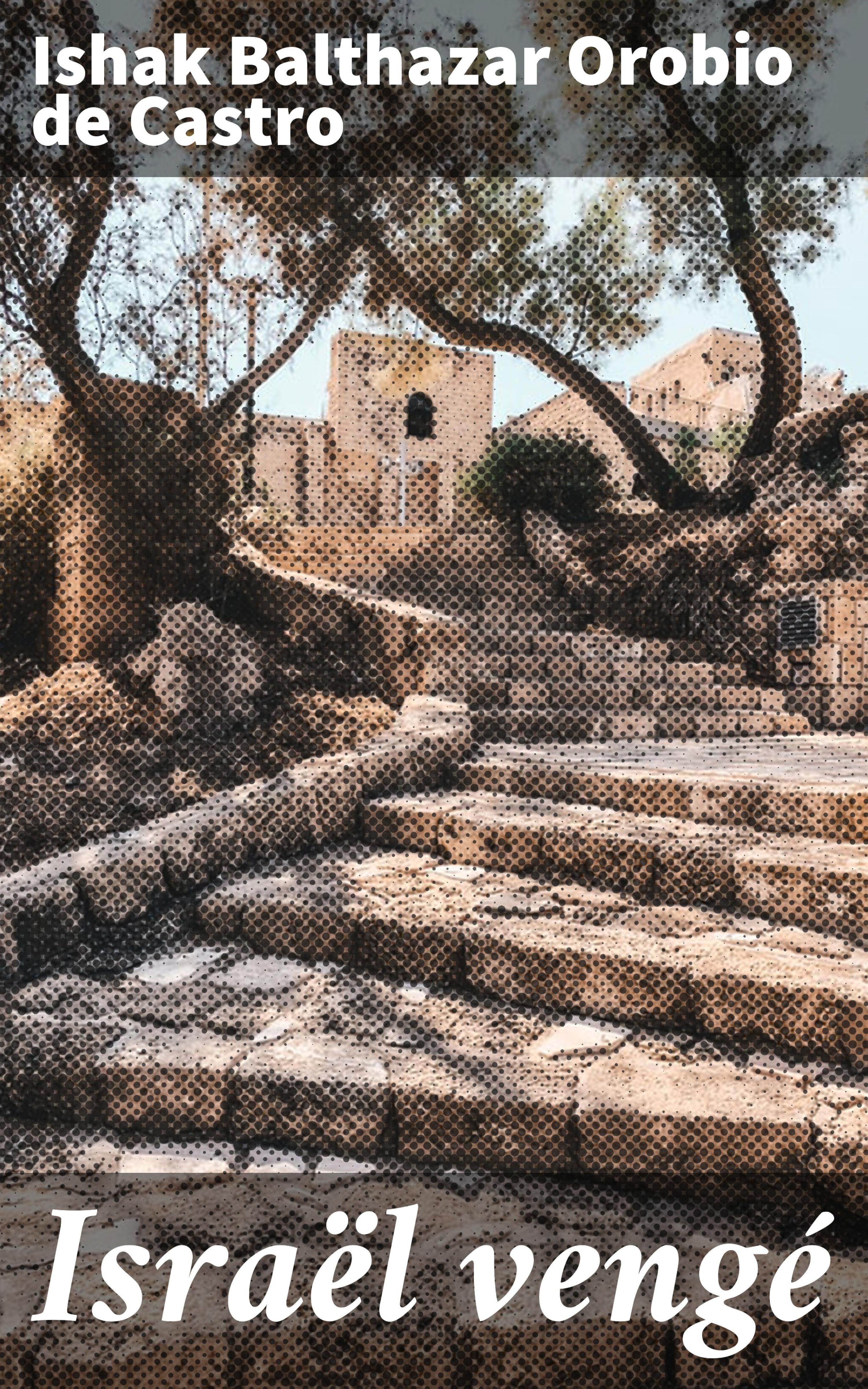 Обложка книги «Israël vengé»