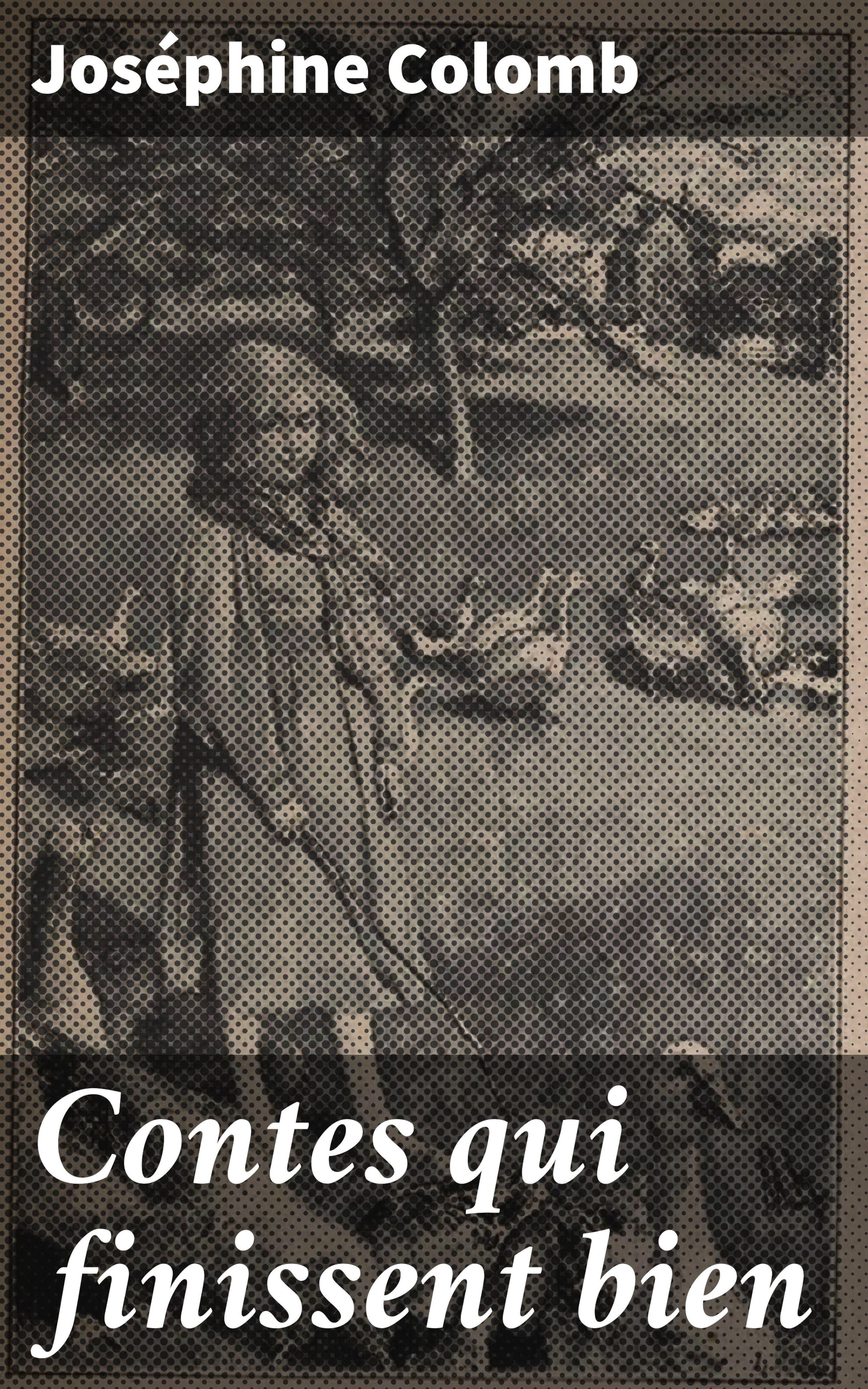 Обложка книги «Contes qui finissent bien»