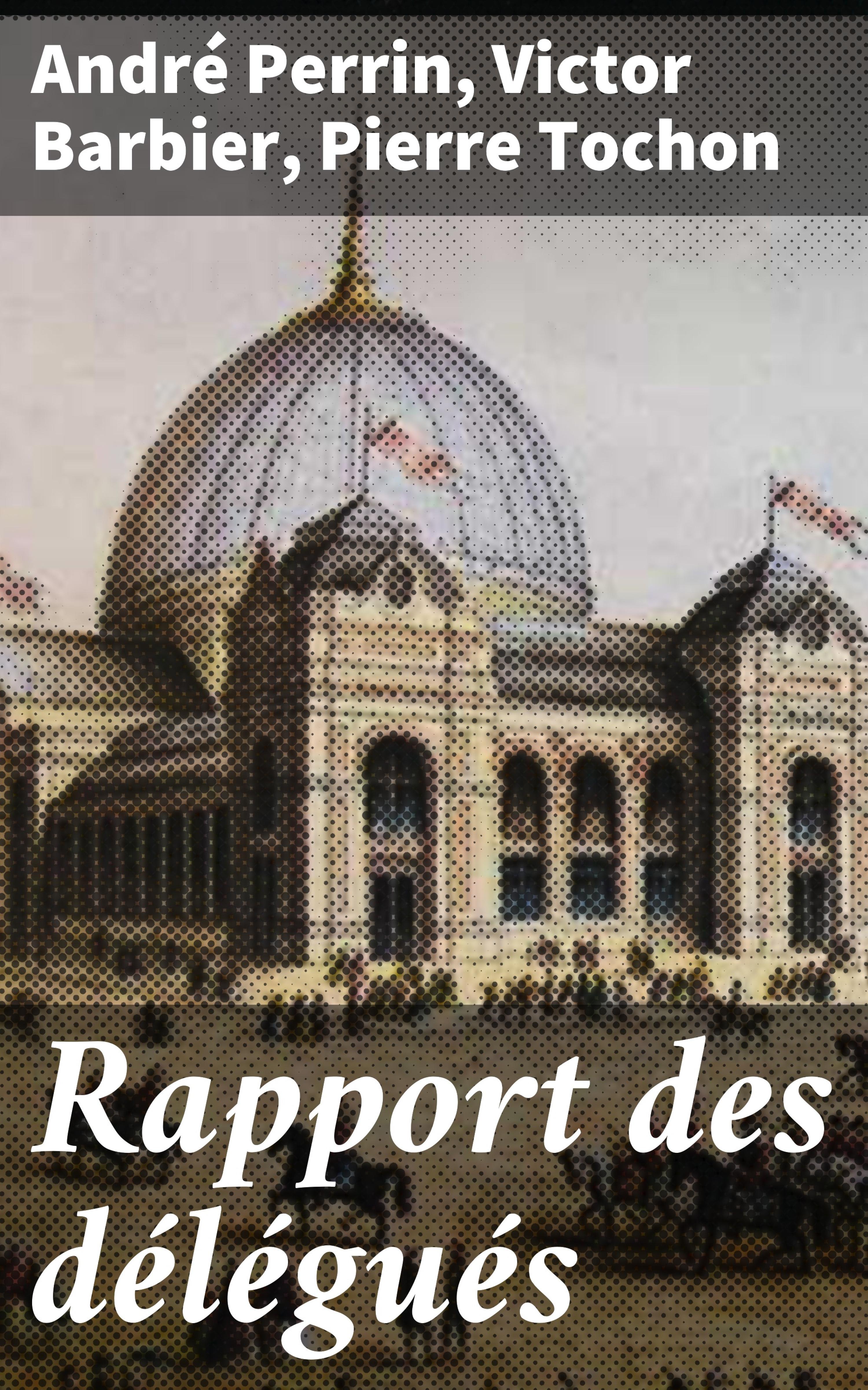 Обложка книги «Rapport des délégués»