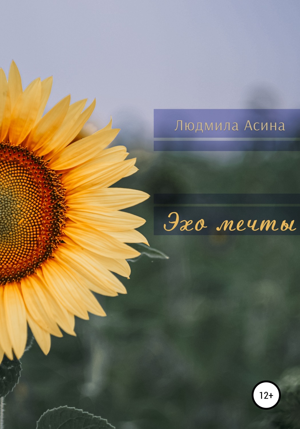 Обложка книги «Эхо мечты»