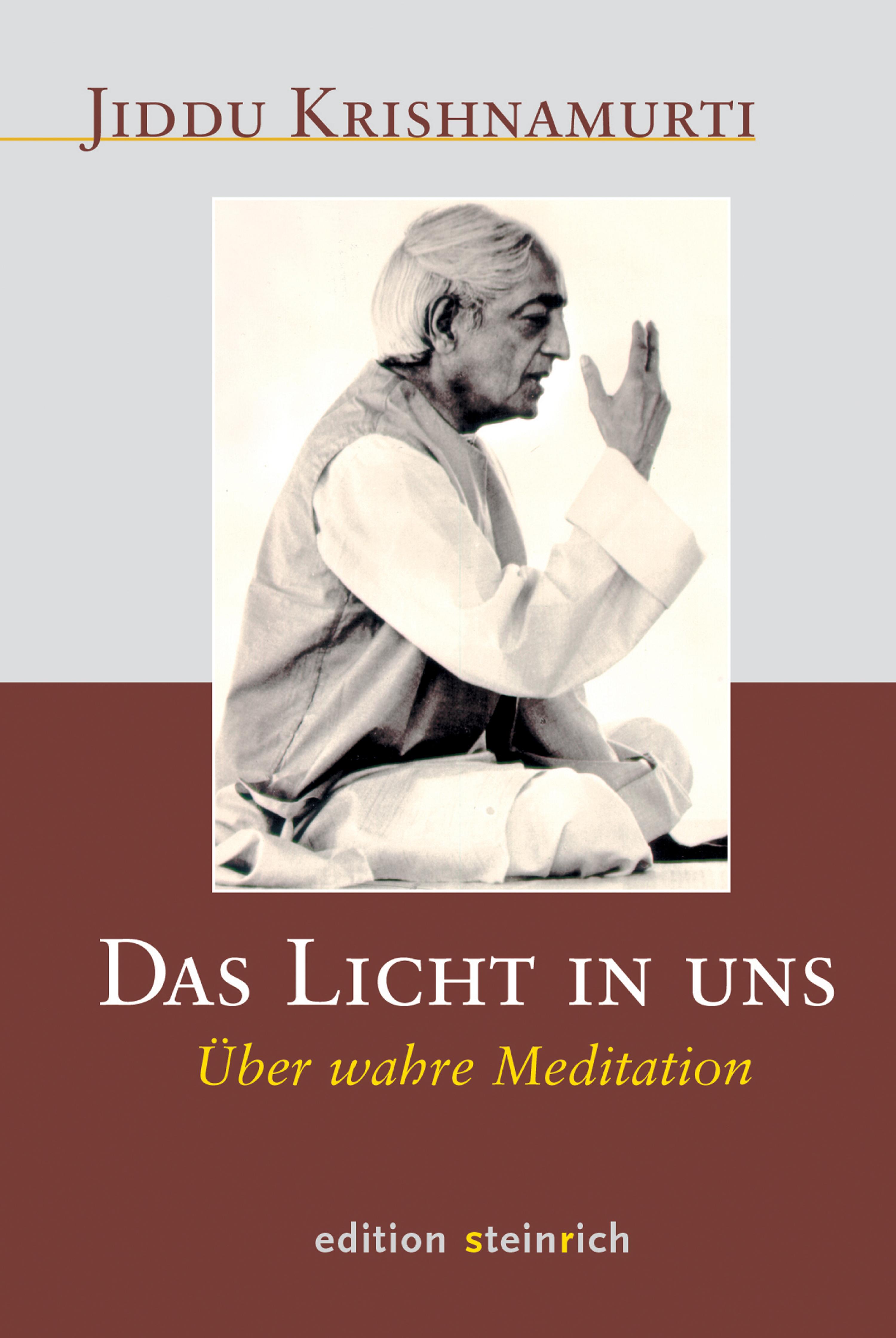 Обложка книги «Das Licht in uns»