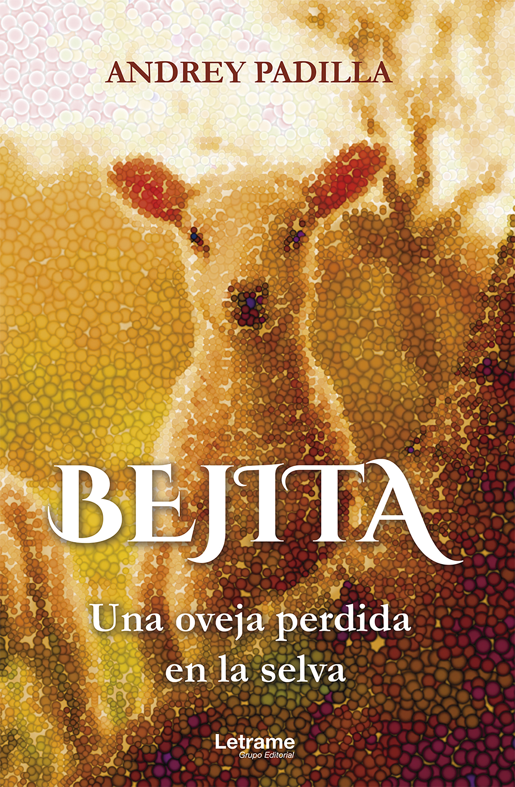 Обложка книги «Bejita»