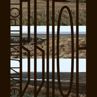 Обложка книги «Выгон»
