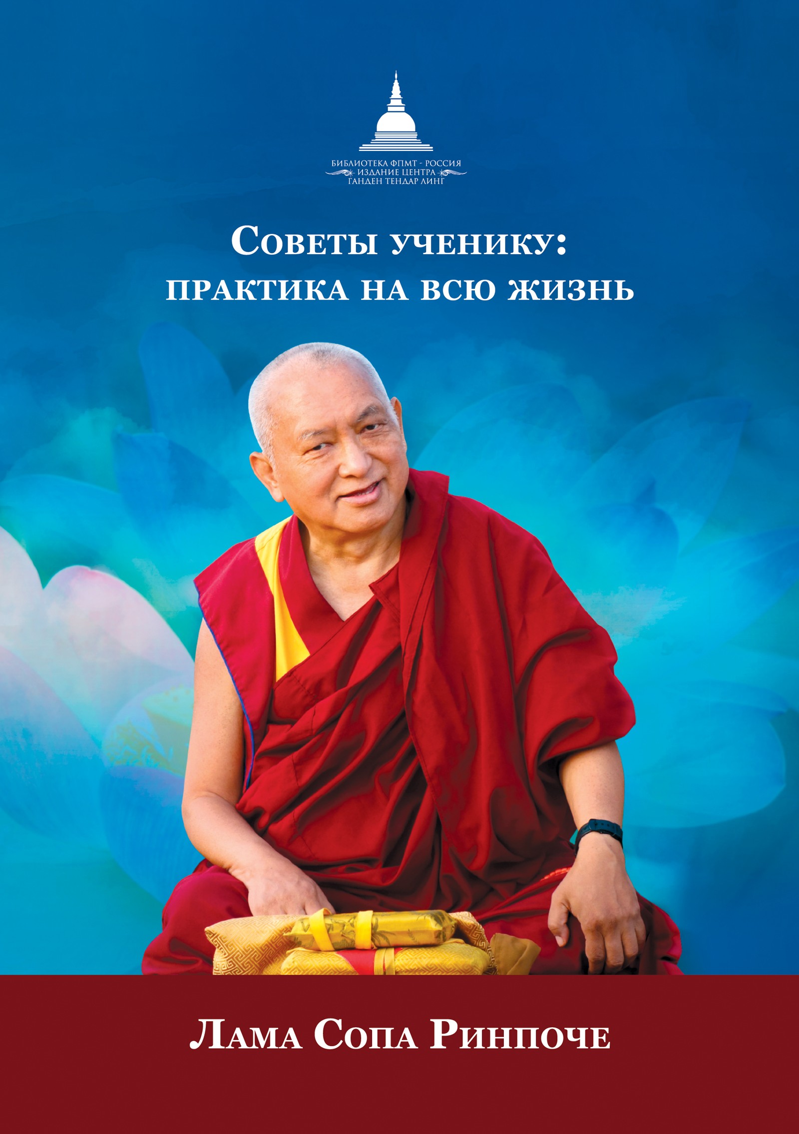 Обложка книги «Советы ученику. Практика на всю жизнь»