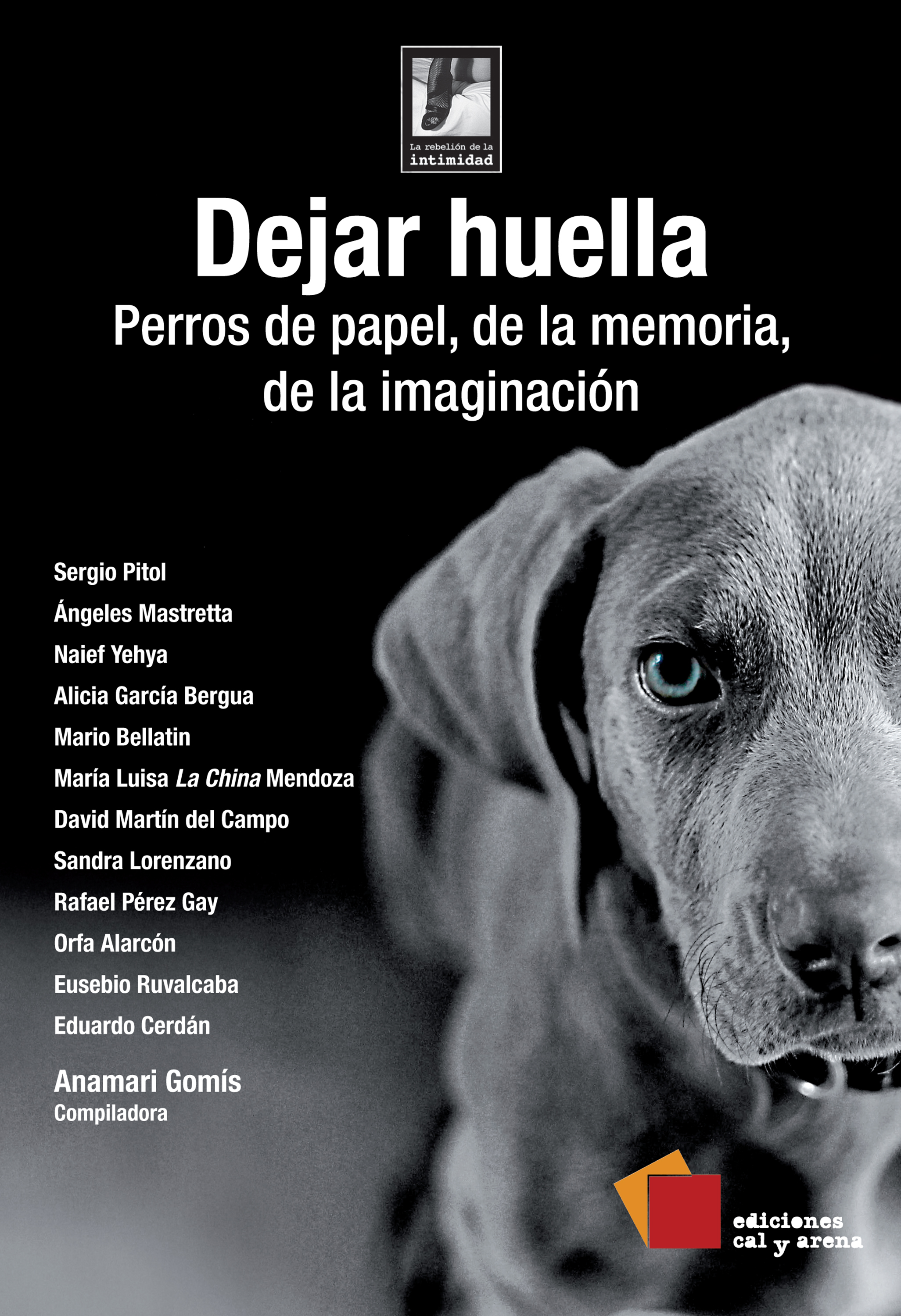 Обложка книги «Dejar huella»