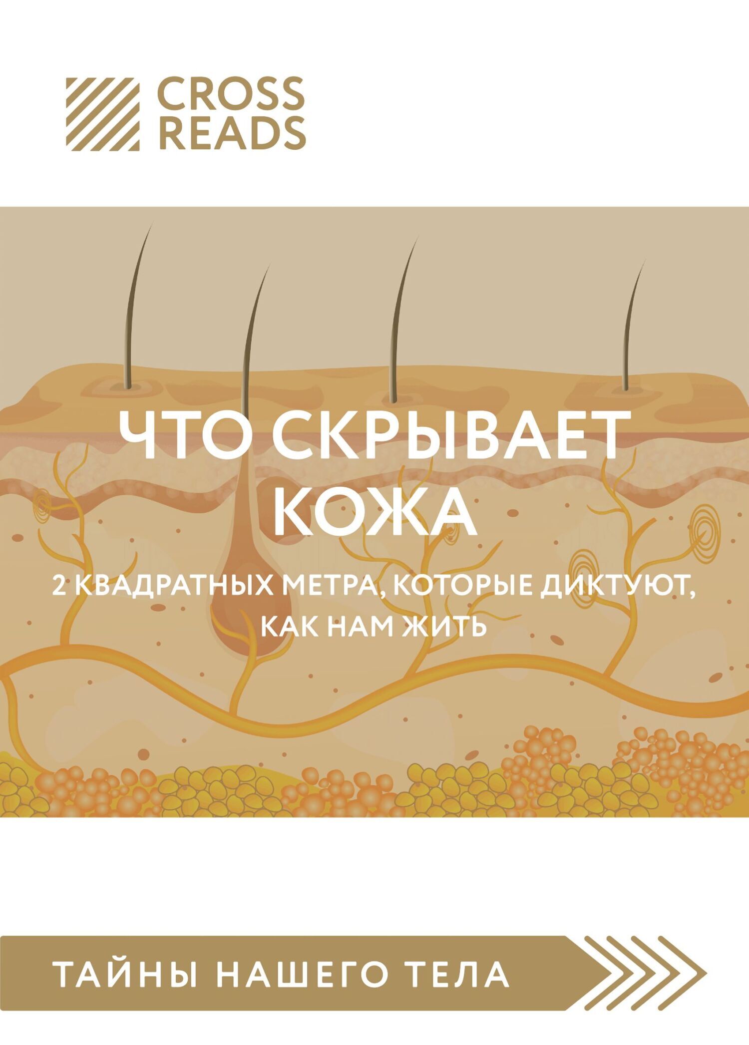 Обложка книги «Саммари книги «Что скрывает кожа. 2 квадратных метра, которые диктуют, как нам жить»»