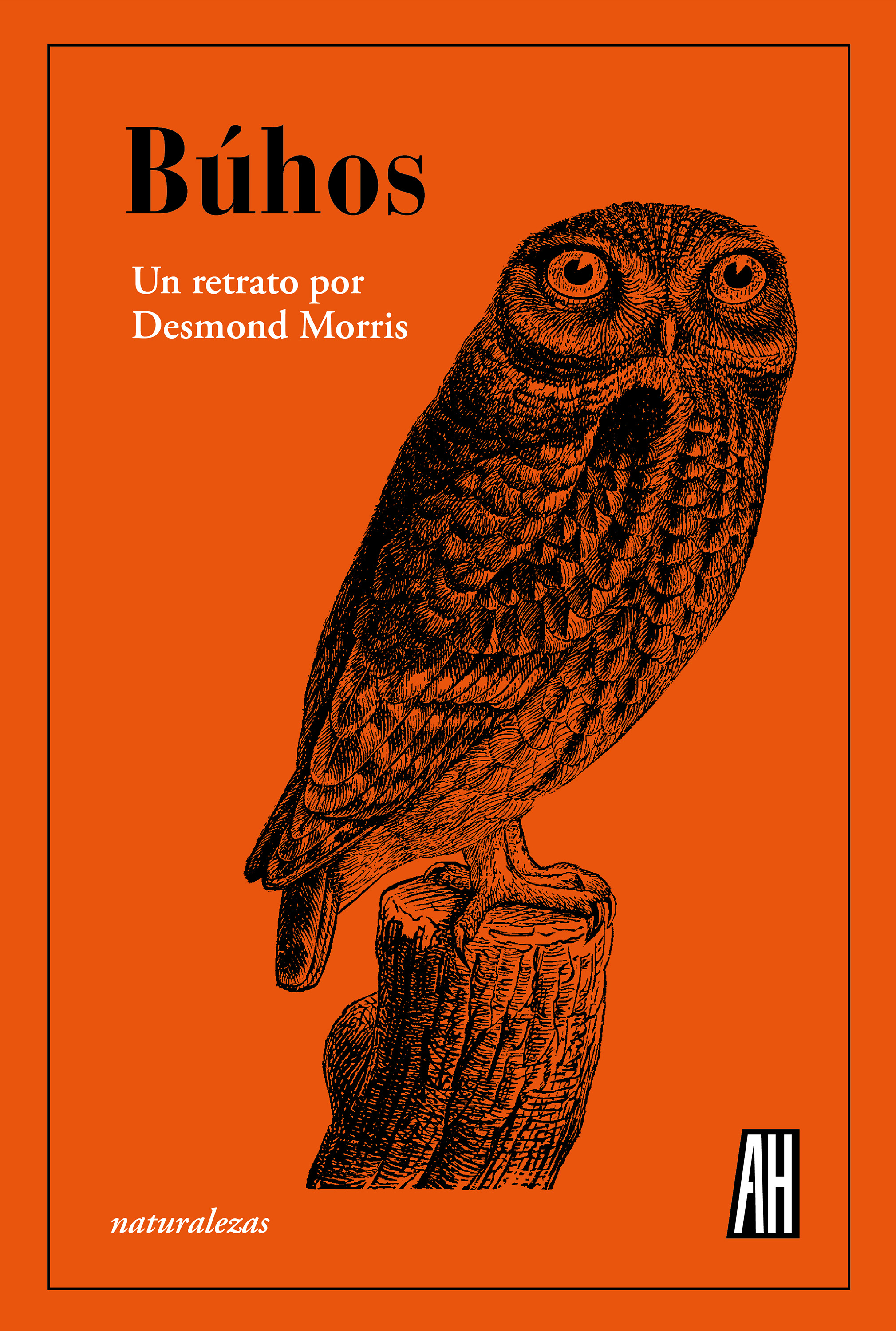 Обложка книги «Búhos»
