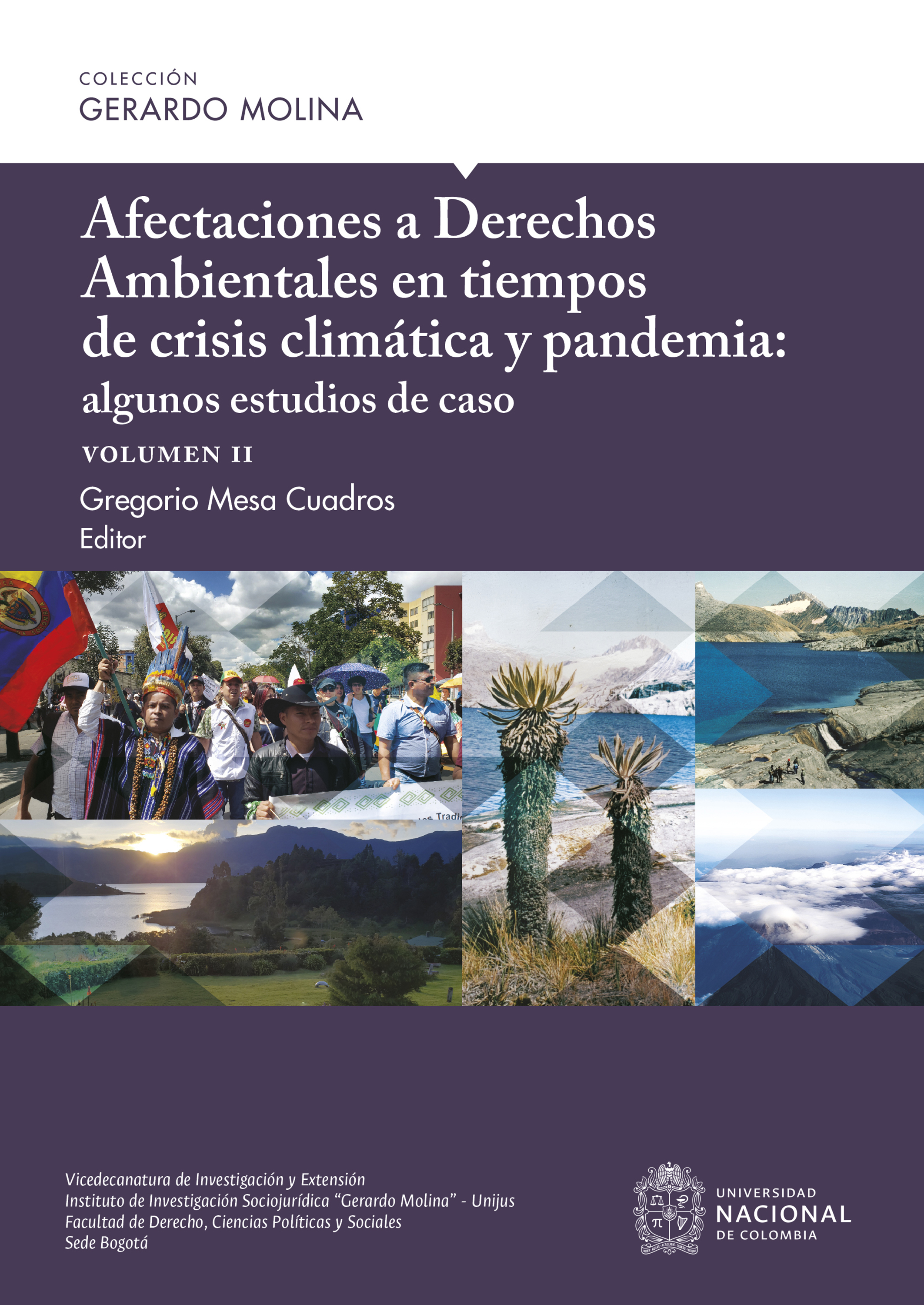 Обложка книги «Afectaciones a Derechos Ambientales en tiempos de crisis climática y pandemia: algunos estudios de caso, volumen II»