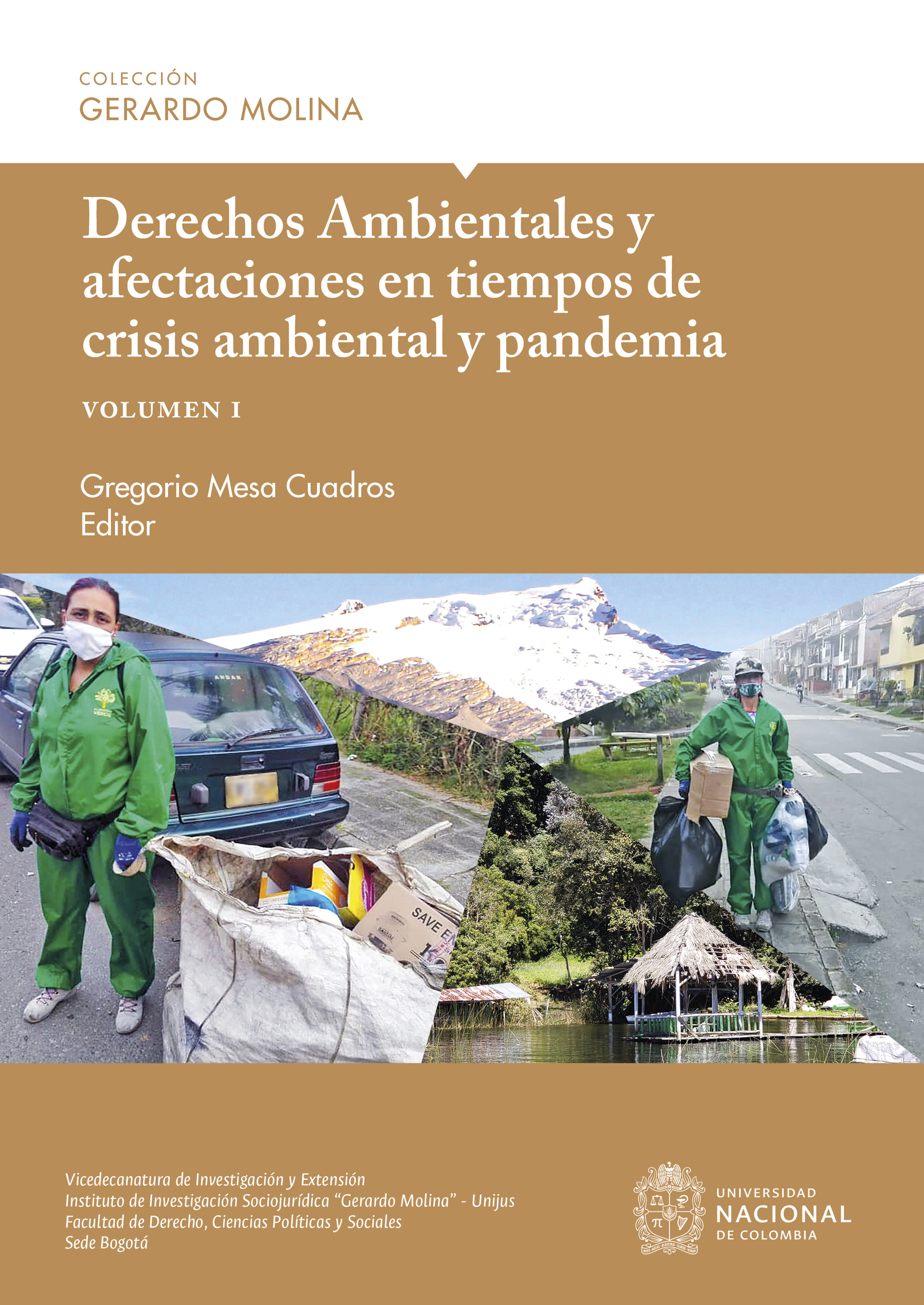 Обложка книги «Derechos Ambientales y afectaciones en tiempos de crisis ambiental y pandemia, volumen I»