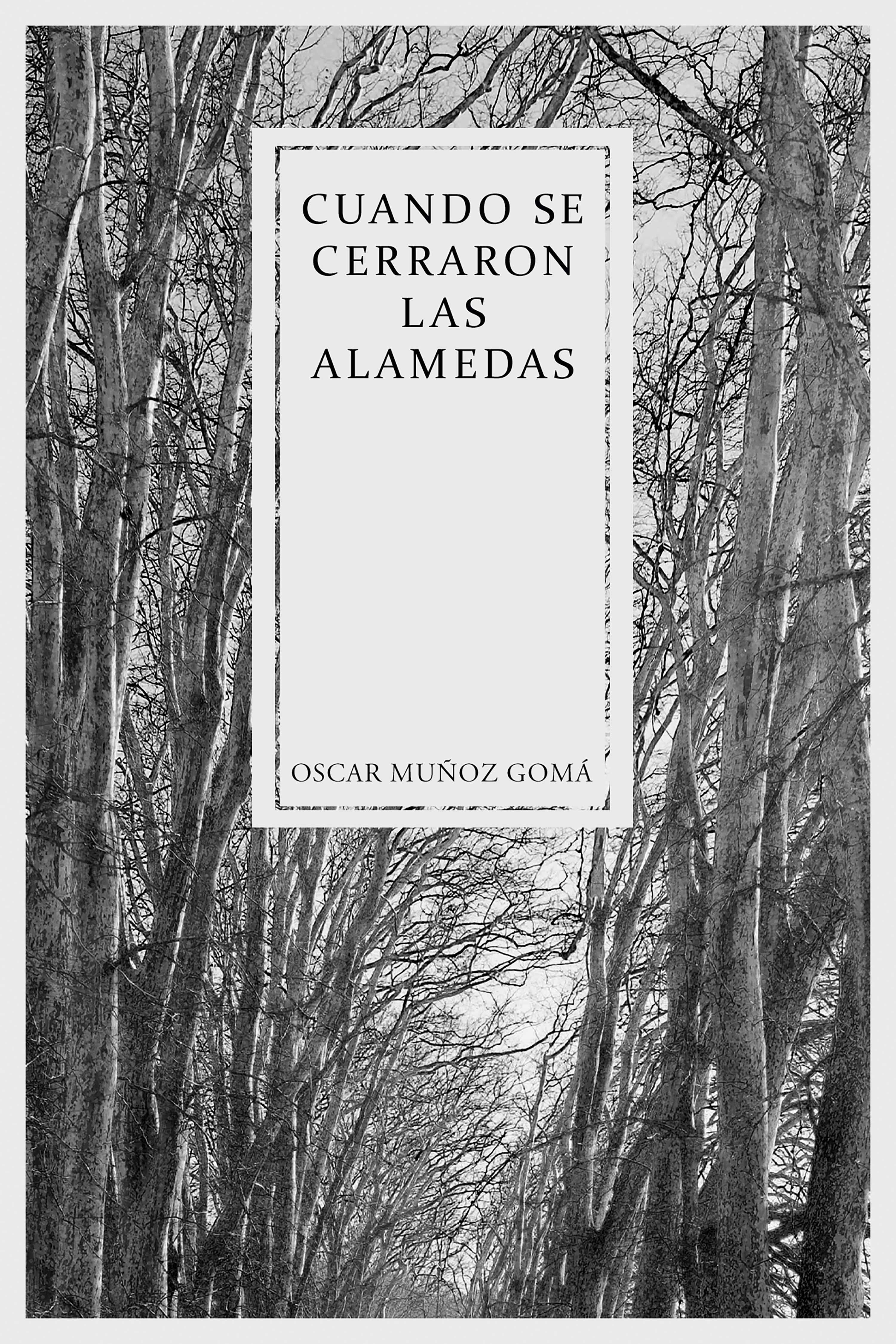 Обложка книги «Cuando se cerraron las Alamedas»