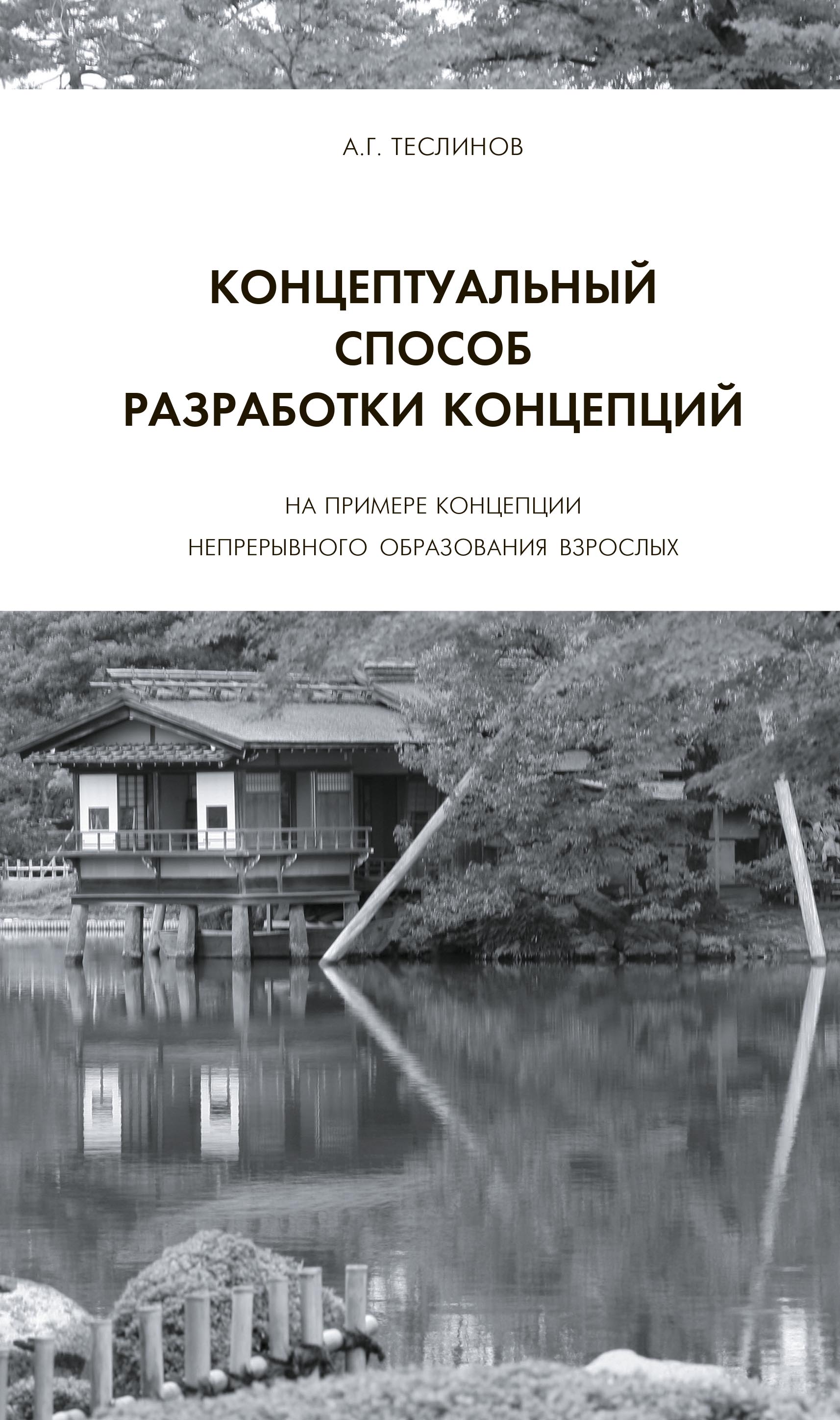 Обложка книги «Концептуальный способ разработки концепций. На примере Концепции непрерывного образования взрослых»