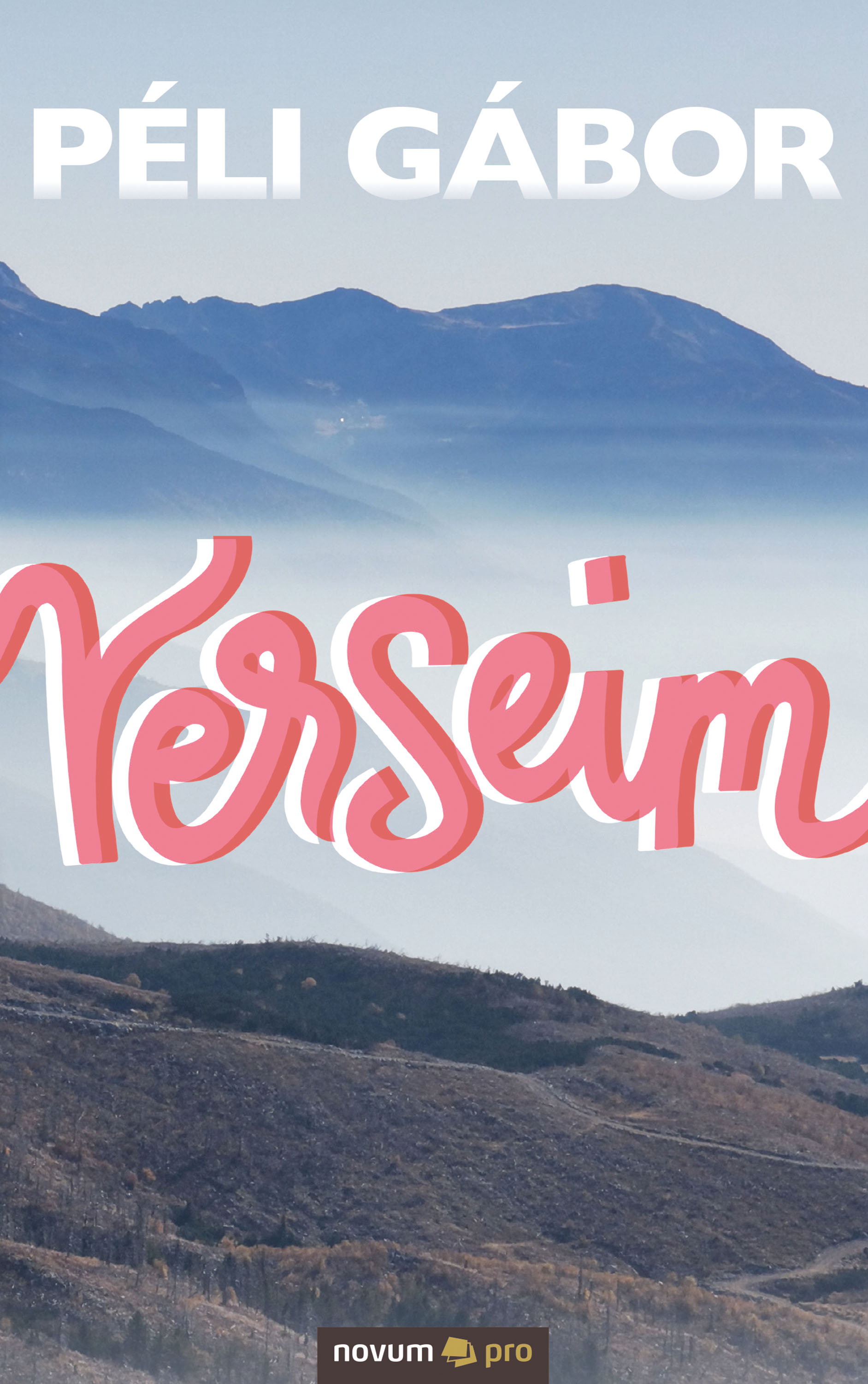 Обложка книги «Verseim»
