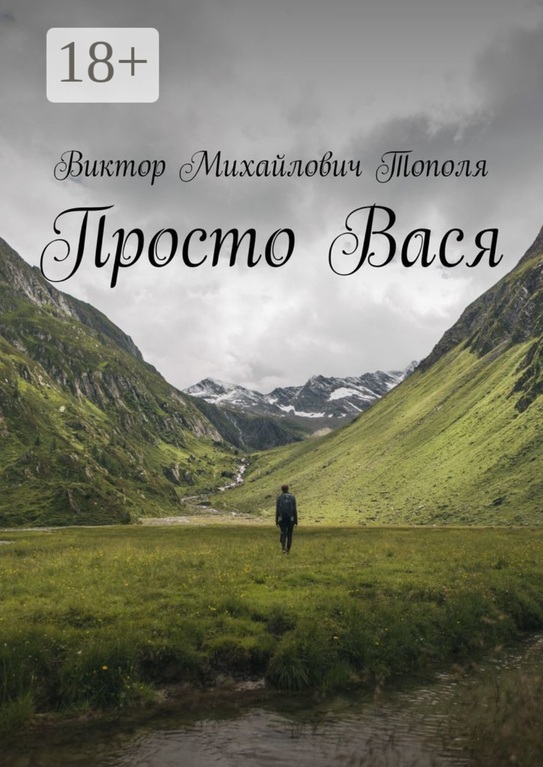 Обложка книги «Просто Вася»