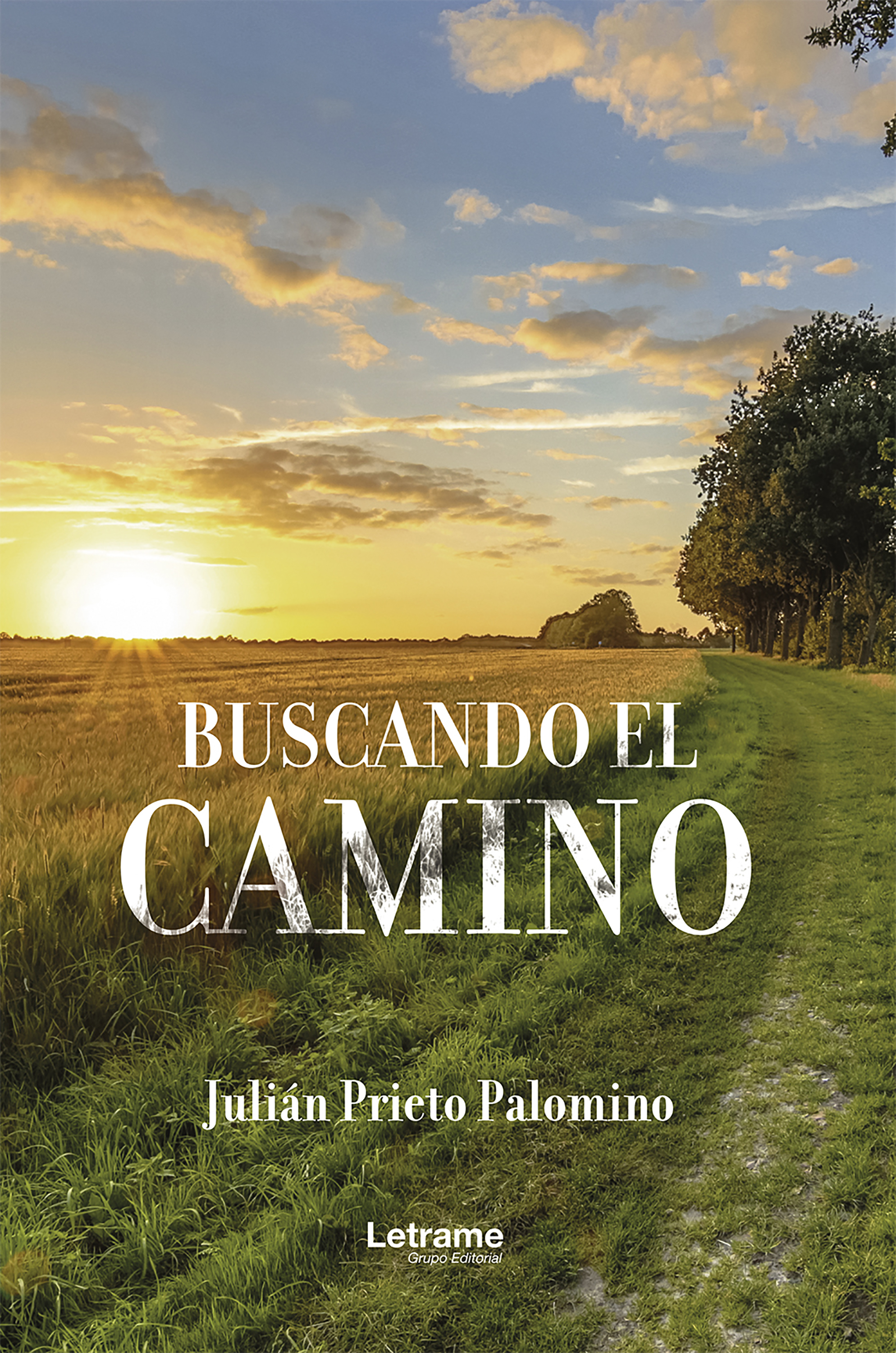Обложка книги «Buscando el camino»