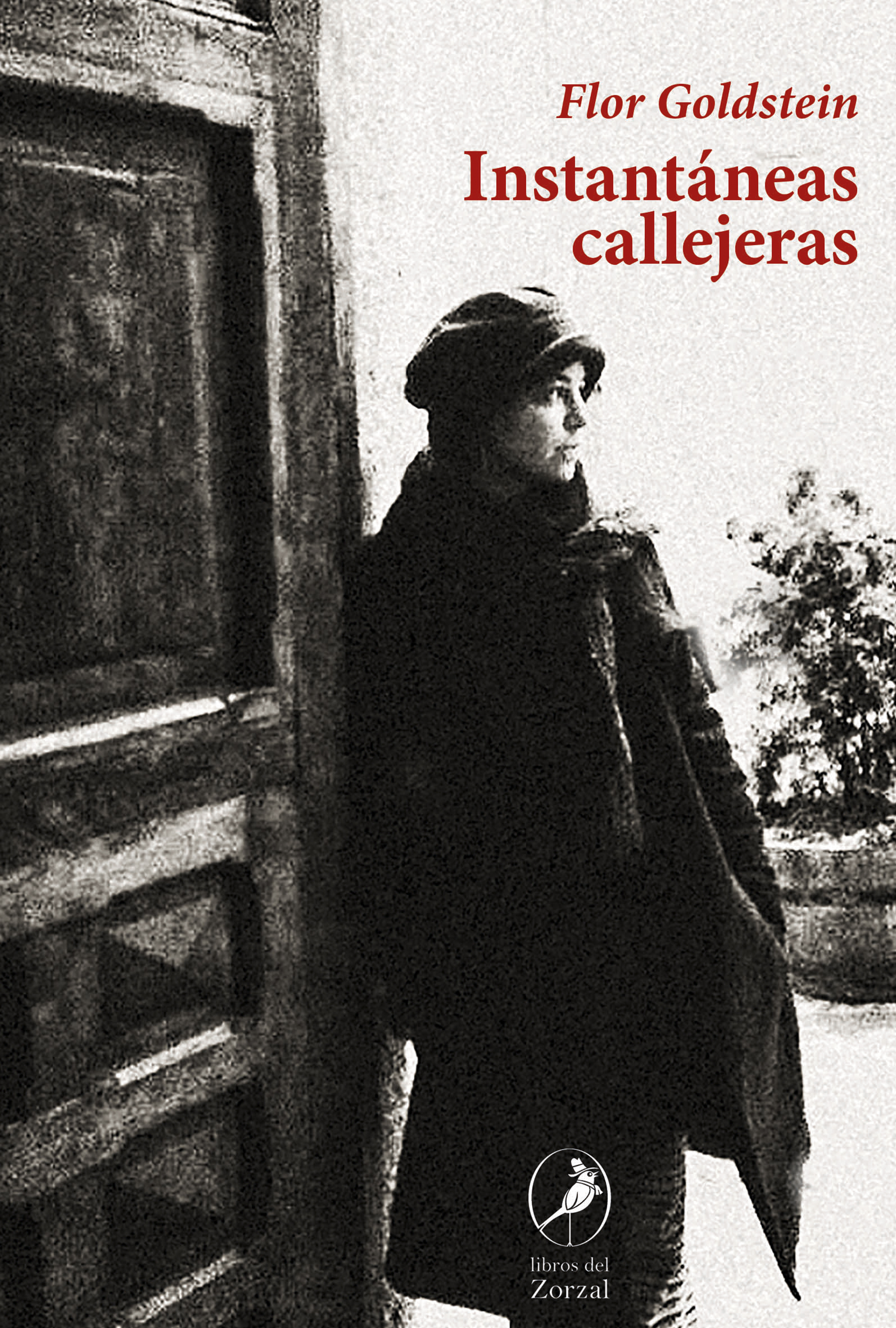 Обложка книги «Instantáneas callejeras»