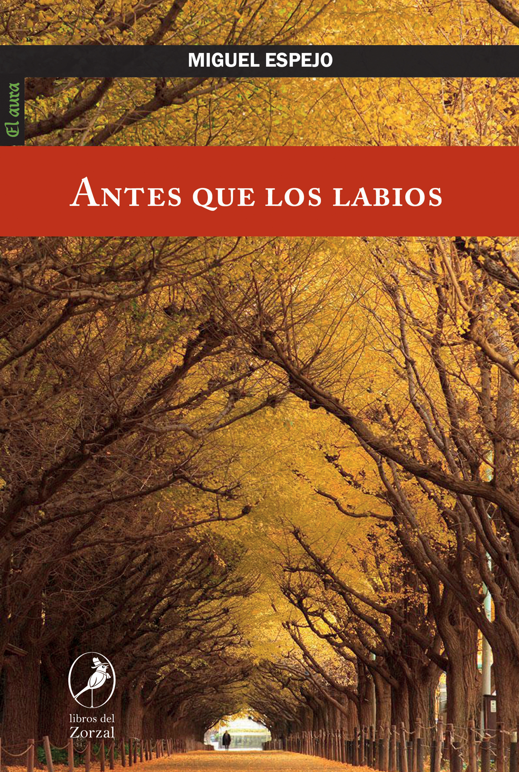 Обложка книги «Antes que los labios»