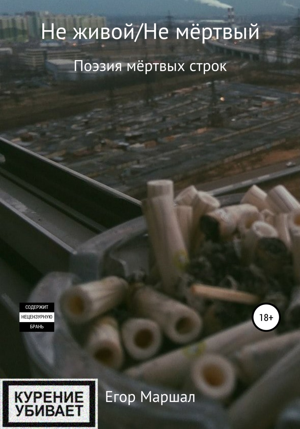 Обложка книги «Не живой/Не мёртвый»