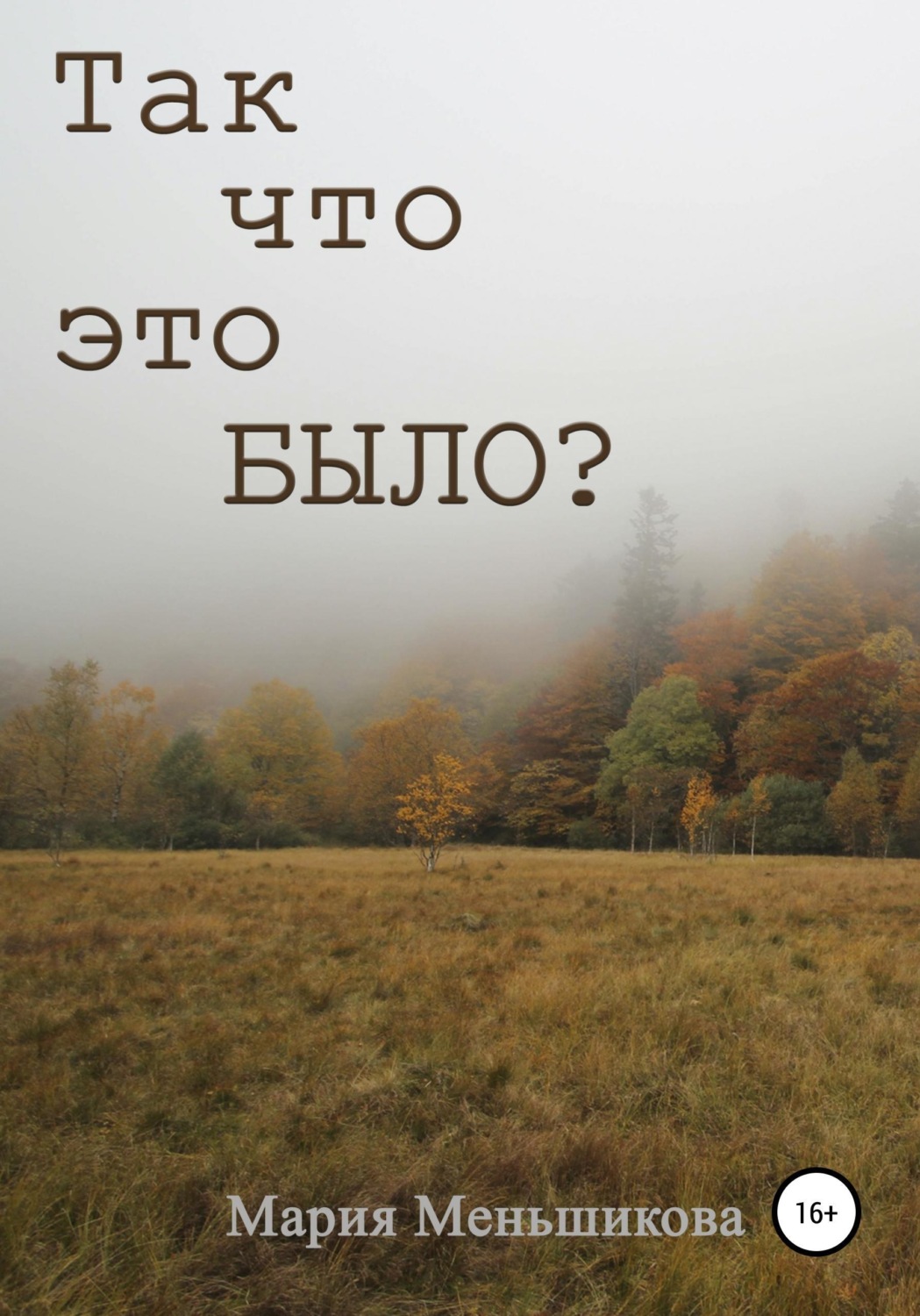 Обложка книги «Так что это было?»
