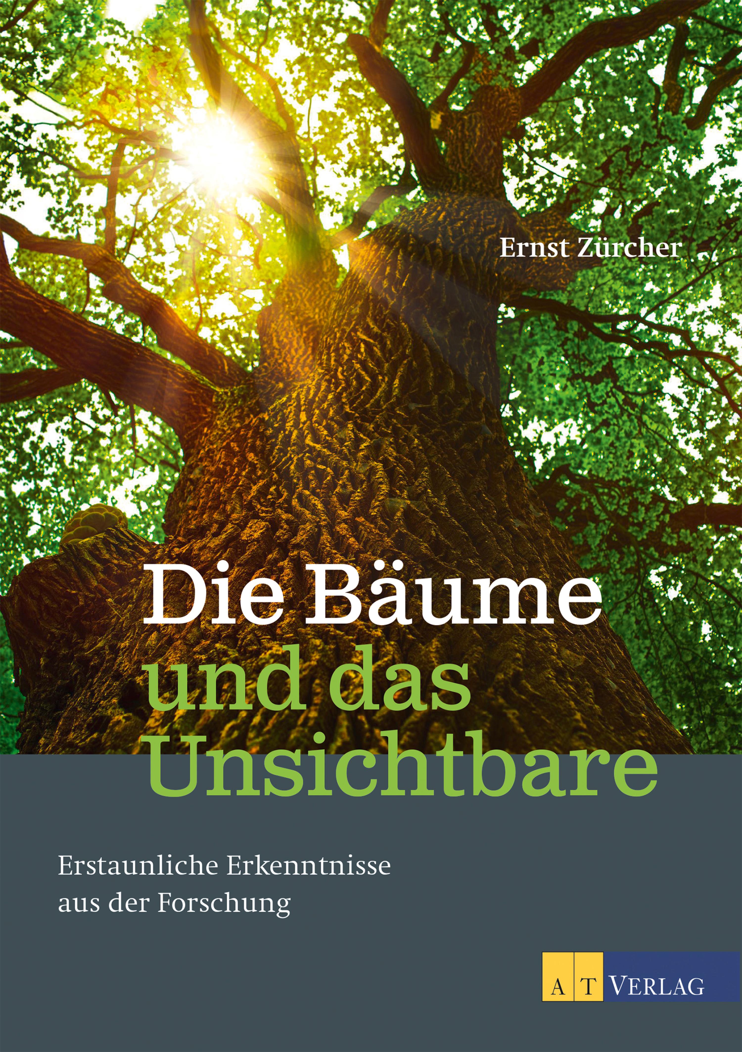 Обложка книги «Die Bäume und das Unsichtbare - eBook»