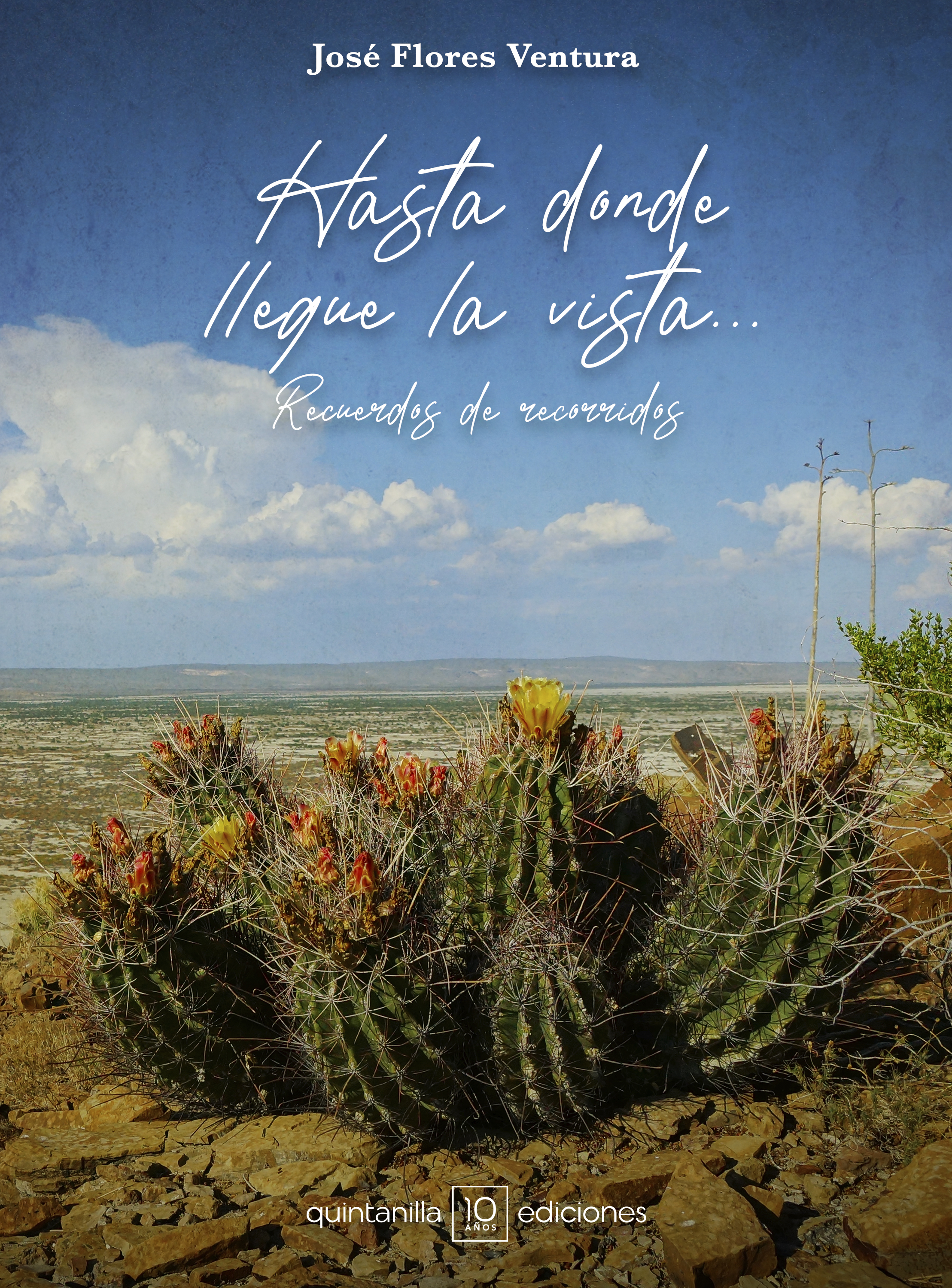 Обложка книги «Hasta donde llegue la vista...»