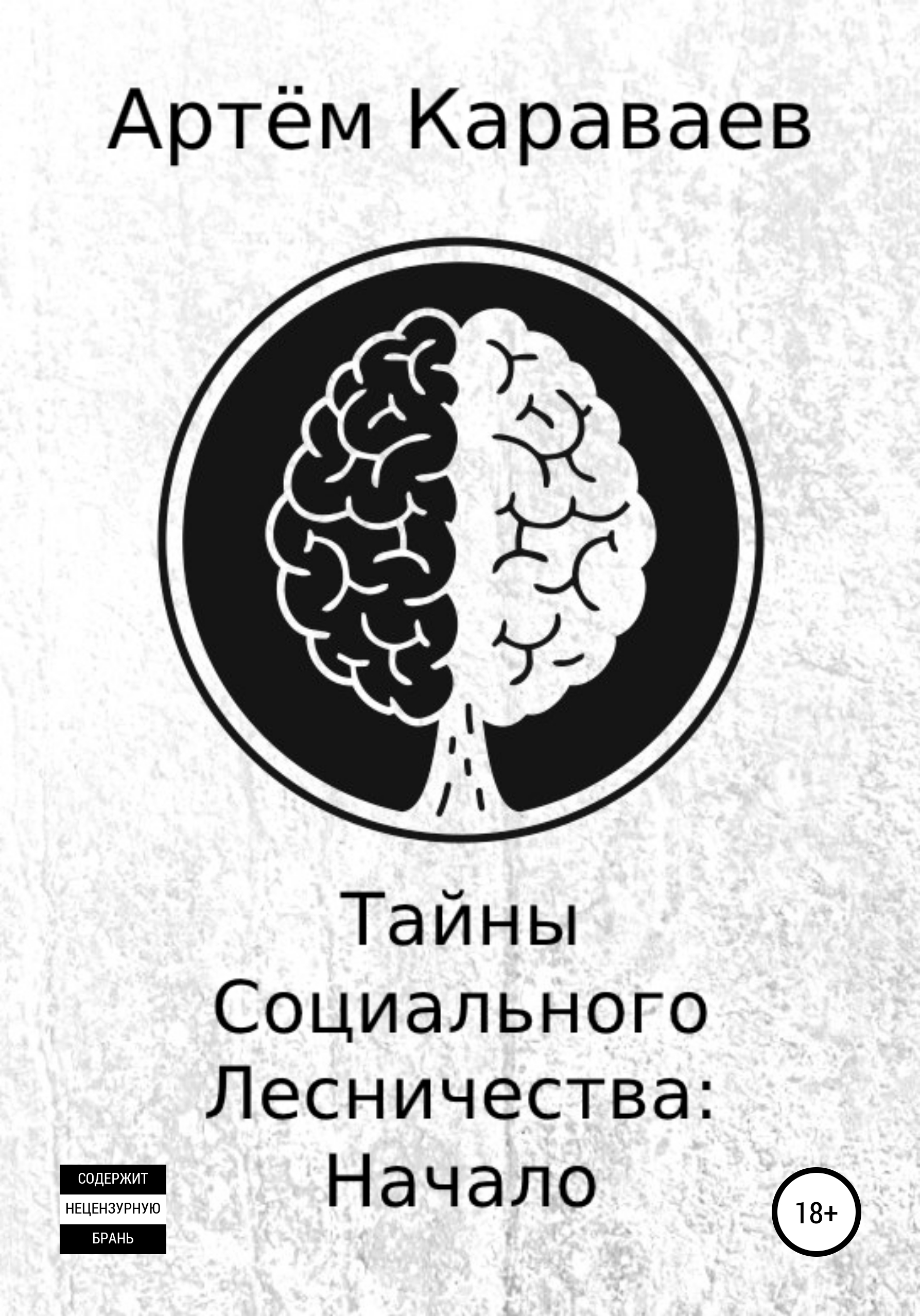 Обложка книги «Тайны Социального Лесничества: Начало»