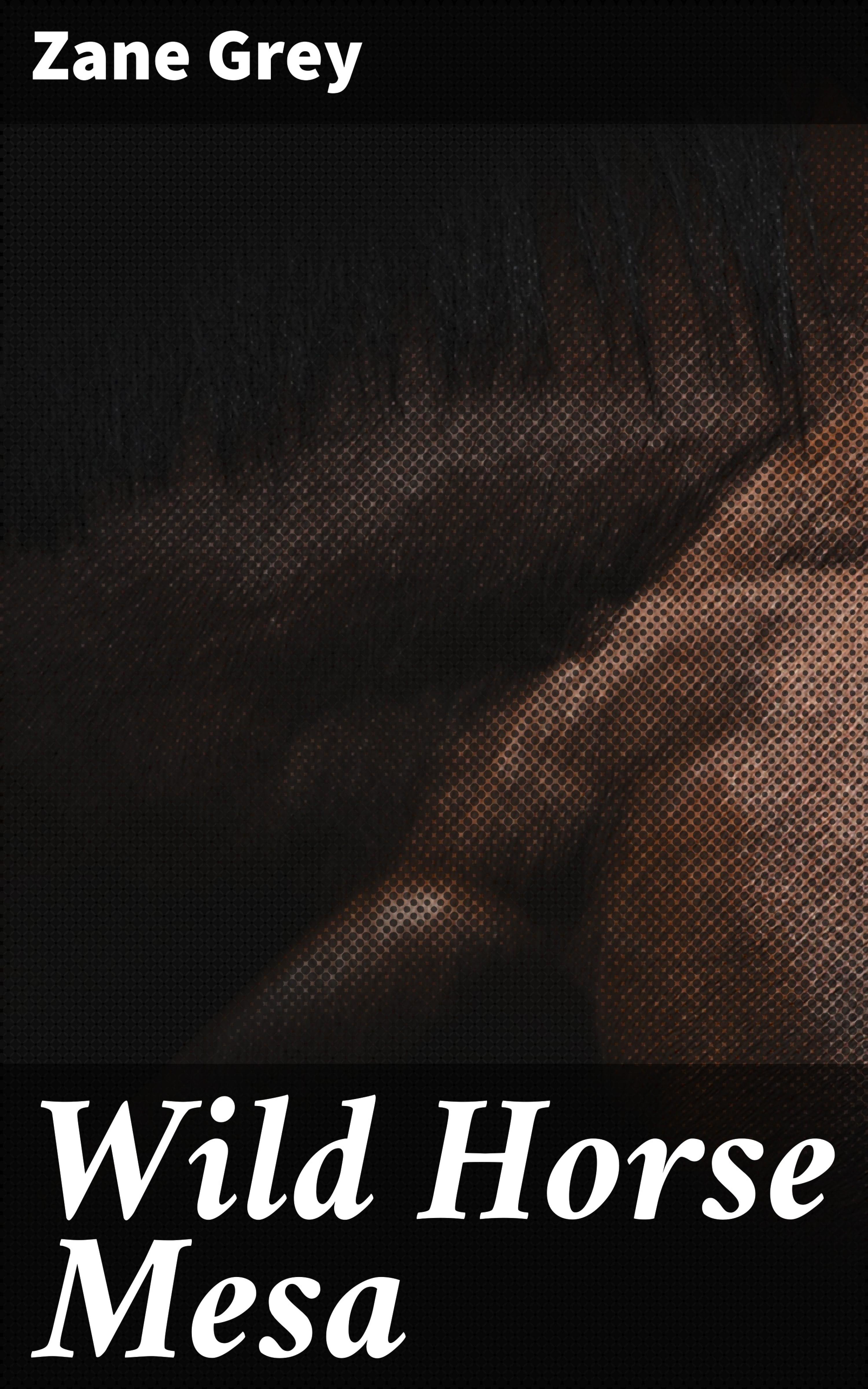 Обложка книги «Wild Horse Mesa»