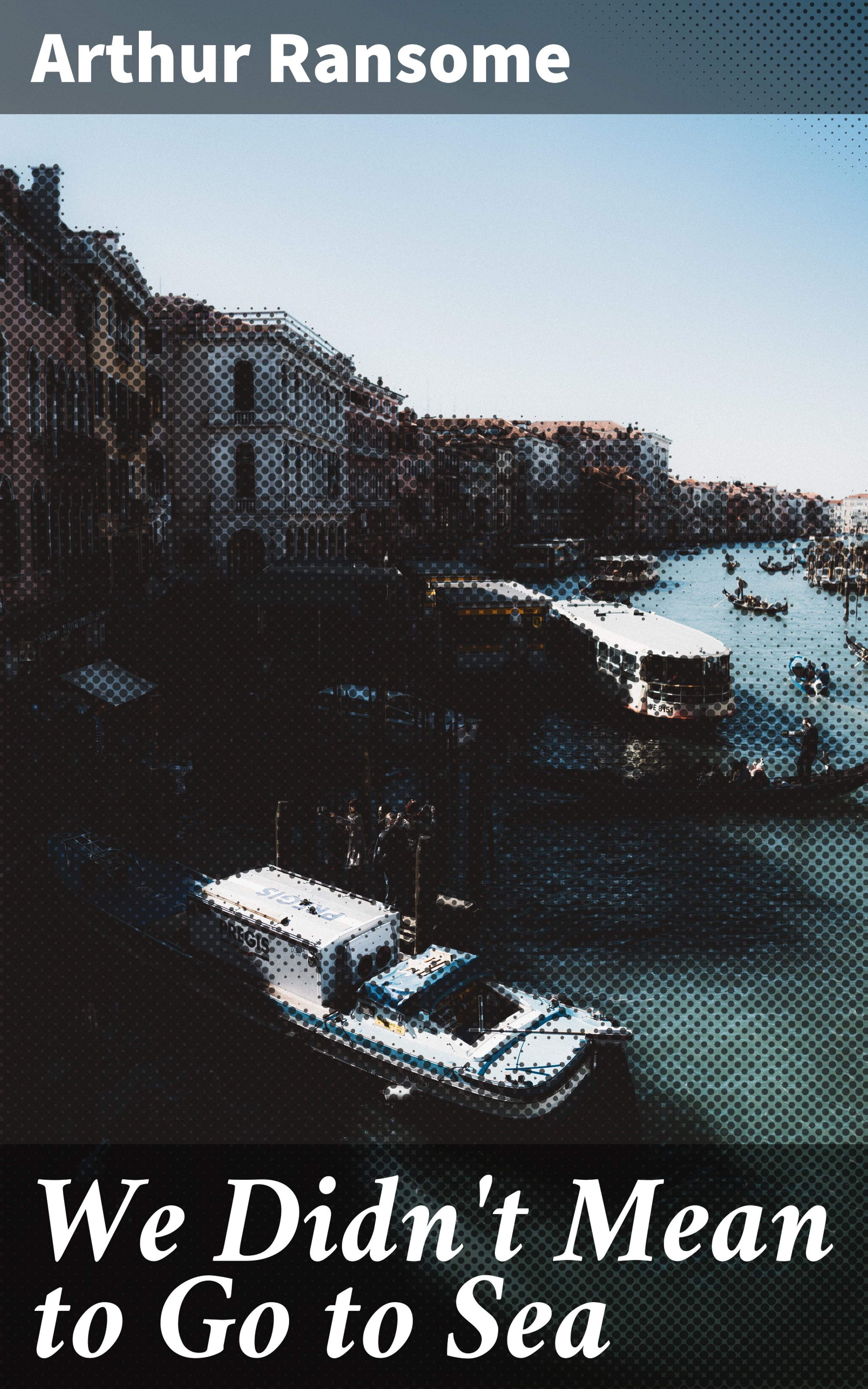 Обложка книги «We Didn't Mean to Go to Sea»
