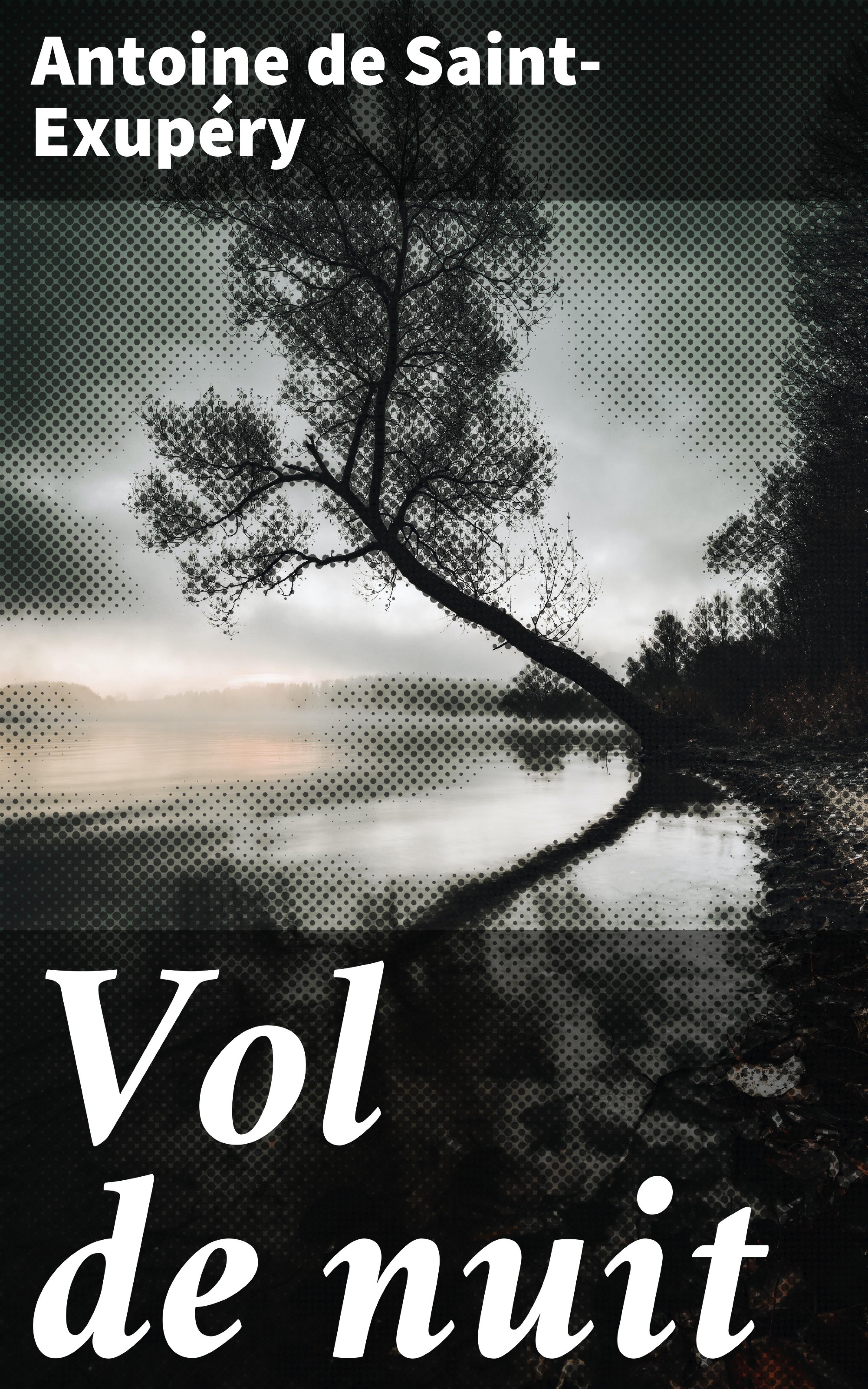 Обложка книги «Vol de nuit»