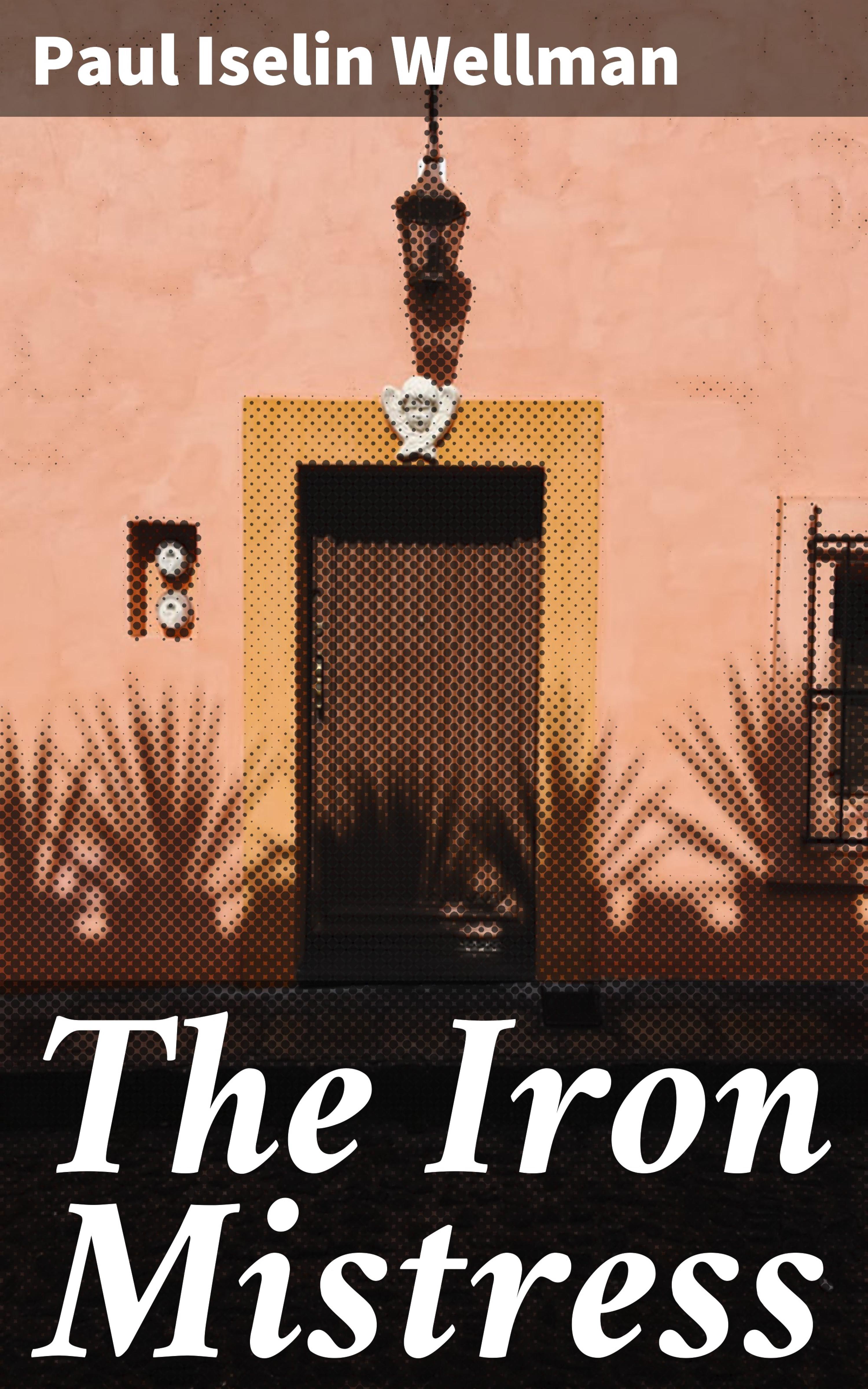 Обложка книги «The Iron Mistress»
