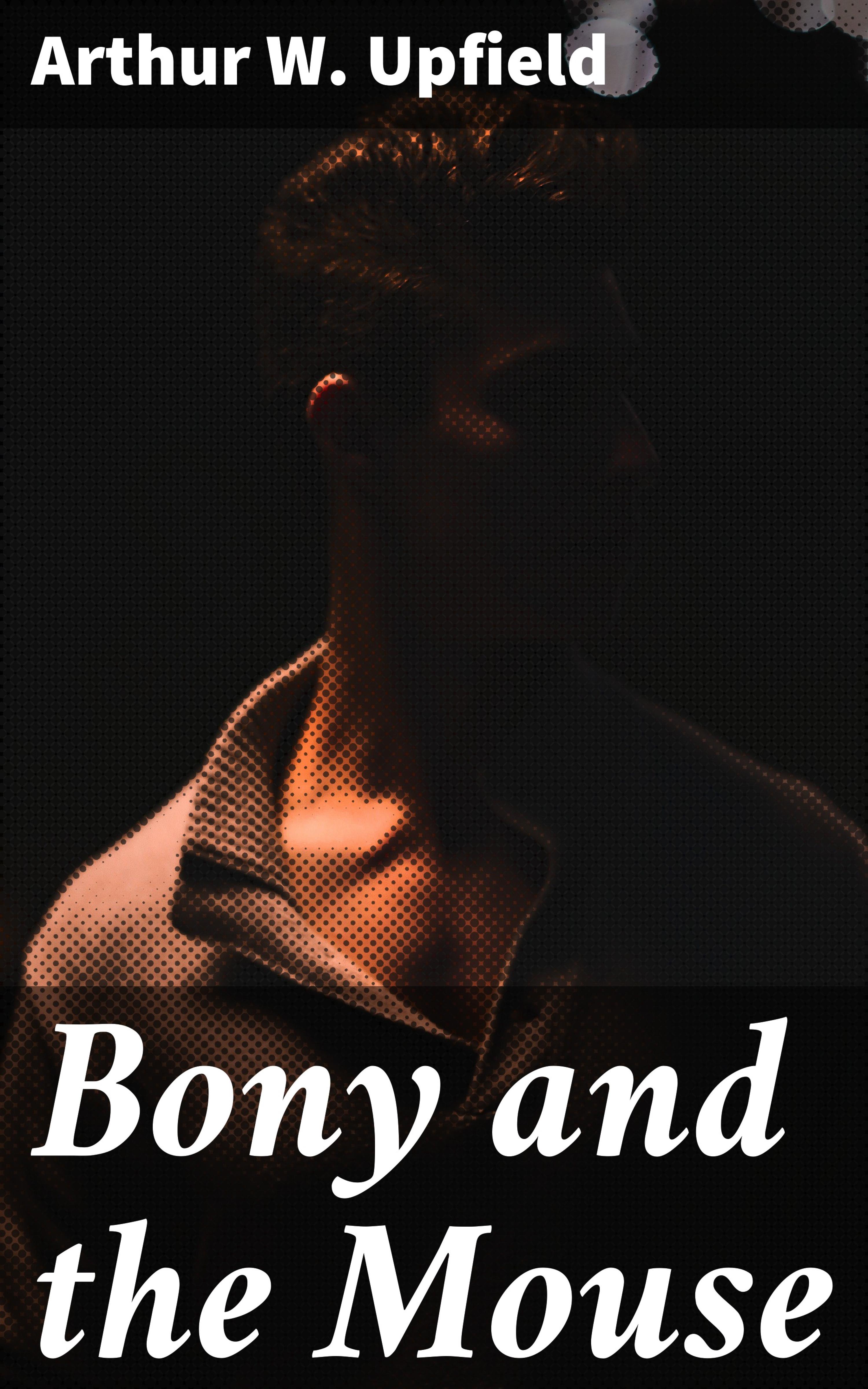 Обложка книги «Bony and the Mouse»