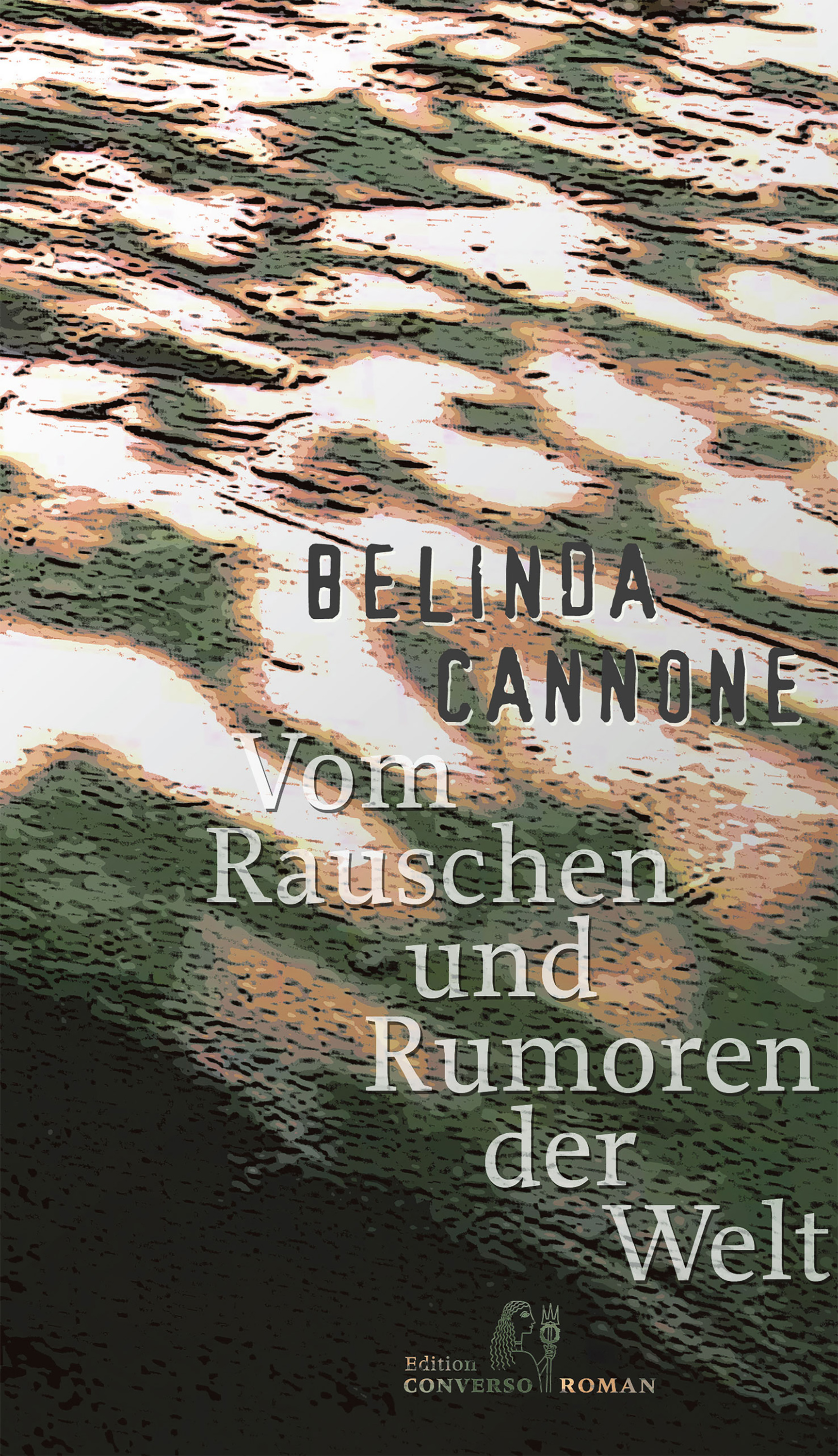 Обложка книги «Vom Rauschen und Rumoren der Welt»