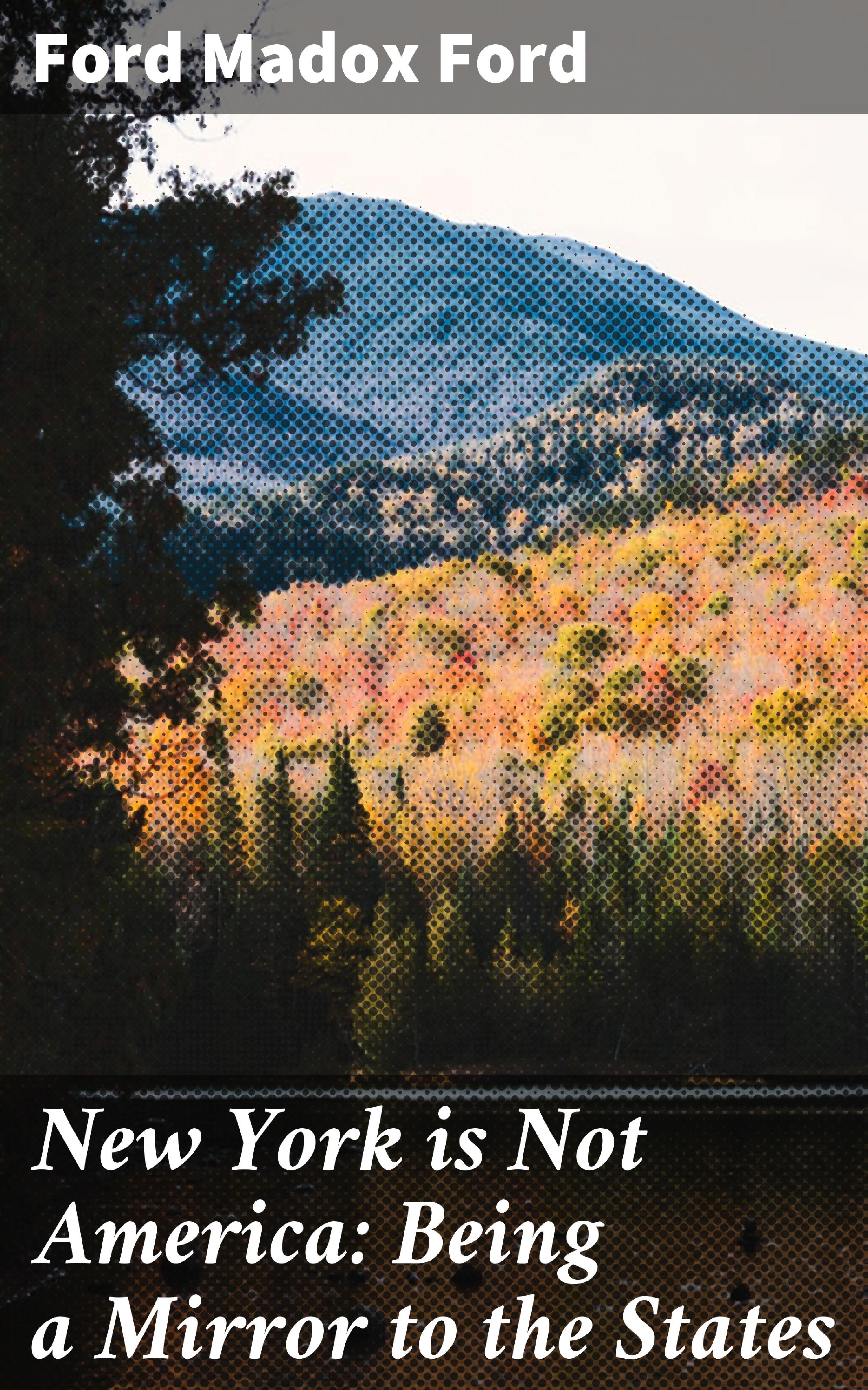 Обложка книги «New York is Not America: Being a Mirror to the States»