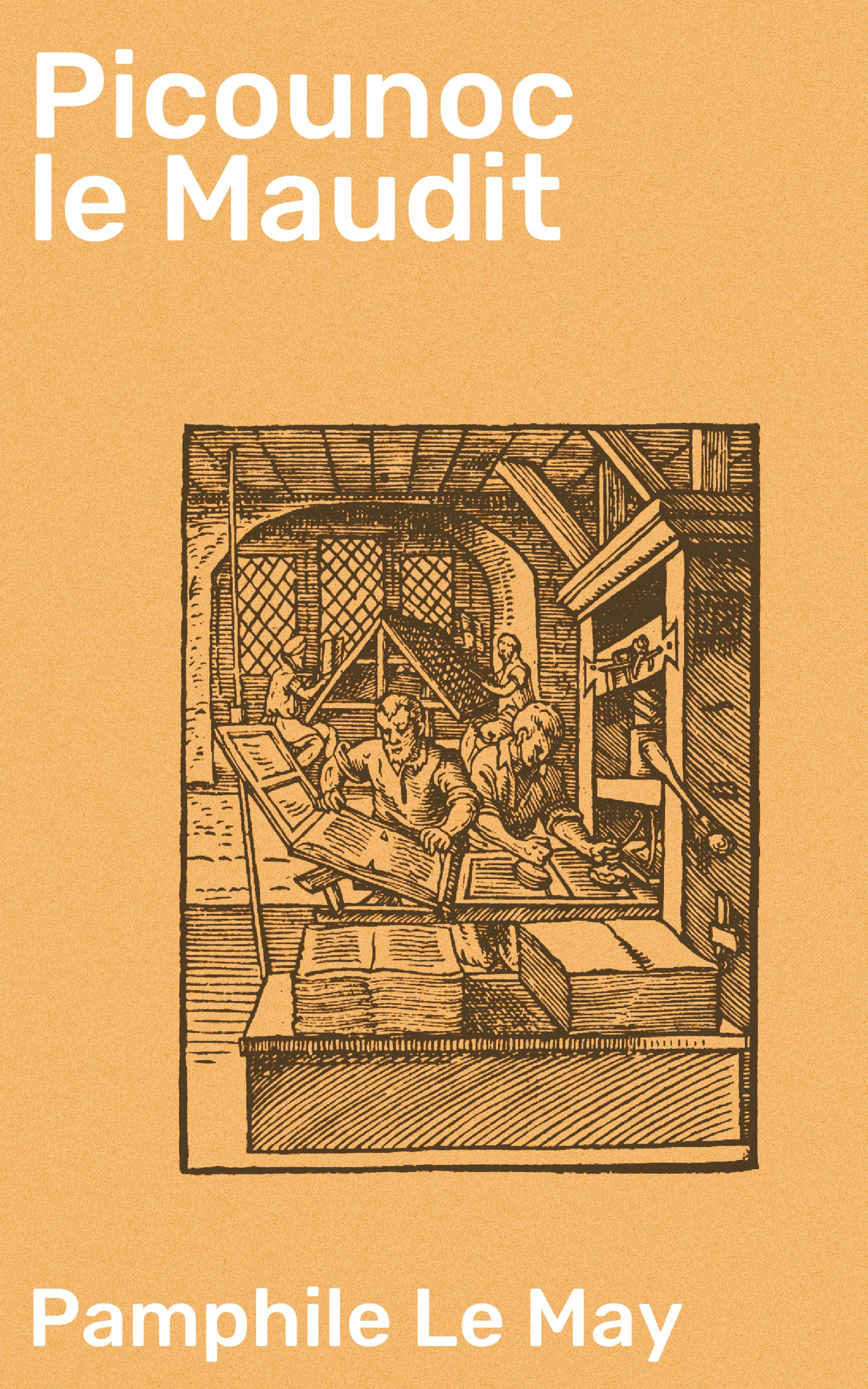 Обложка книги «Picounoc le Maudit»