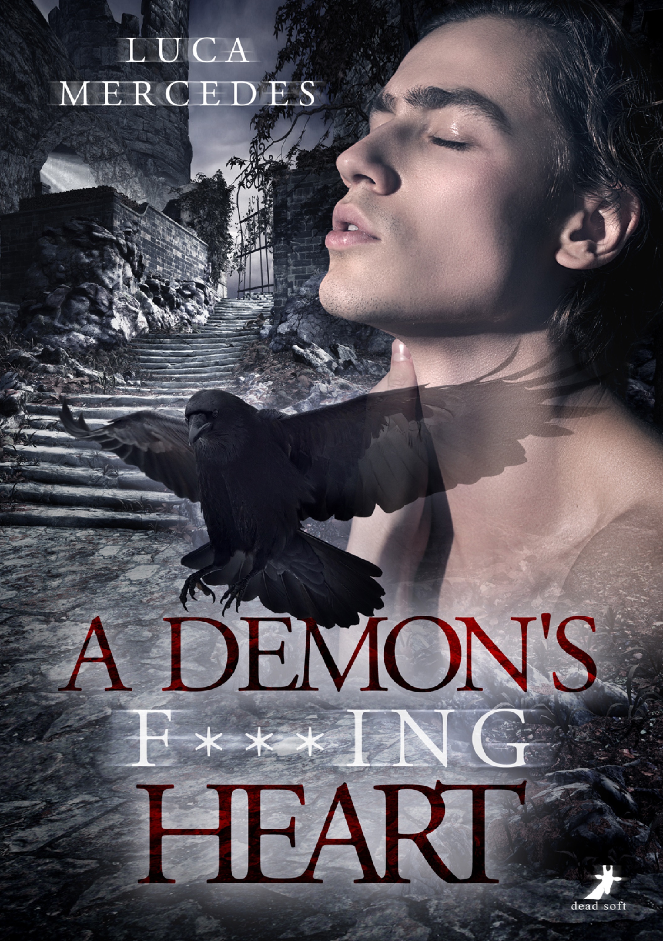 Обложка книги «A Demon's F***ing Heart»