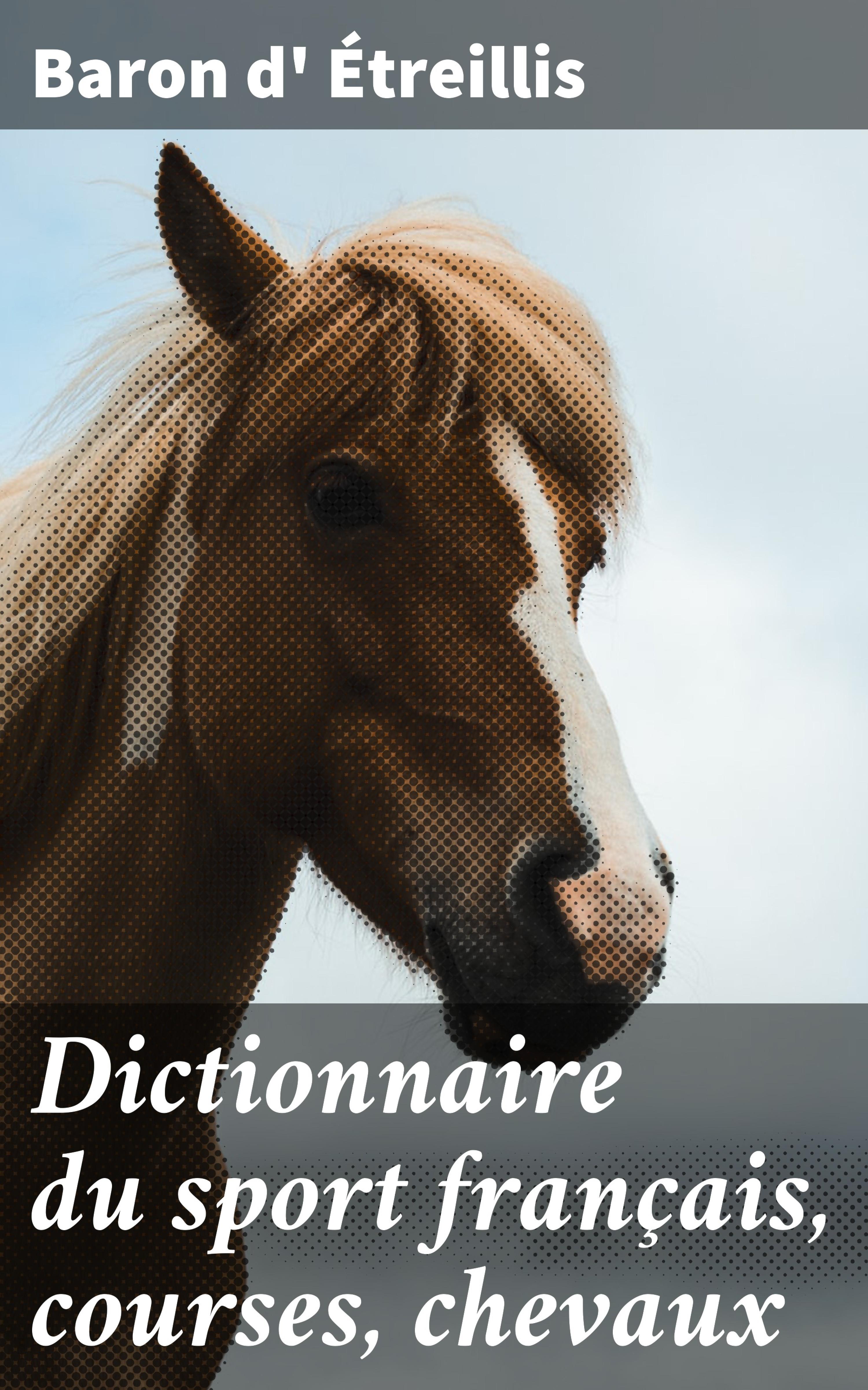 Обложка книги «Dictionnaire du sport français, courses, chevaux»
